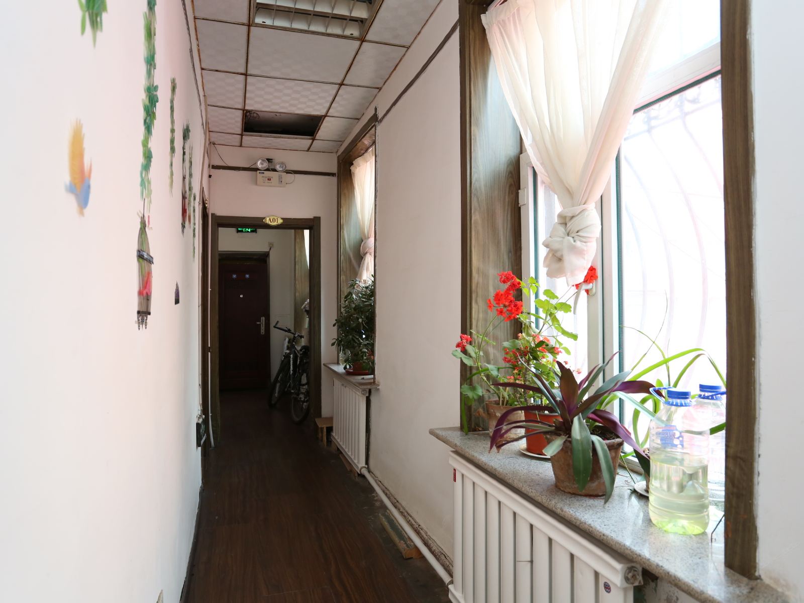 公共区域
