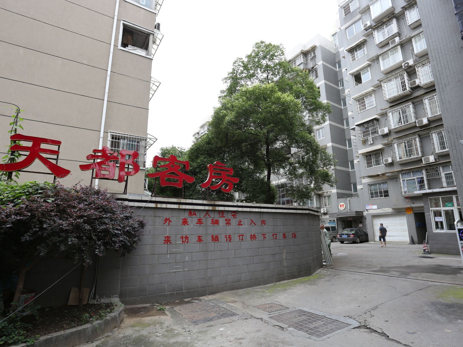 外观