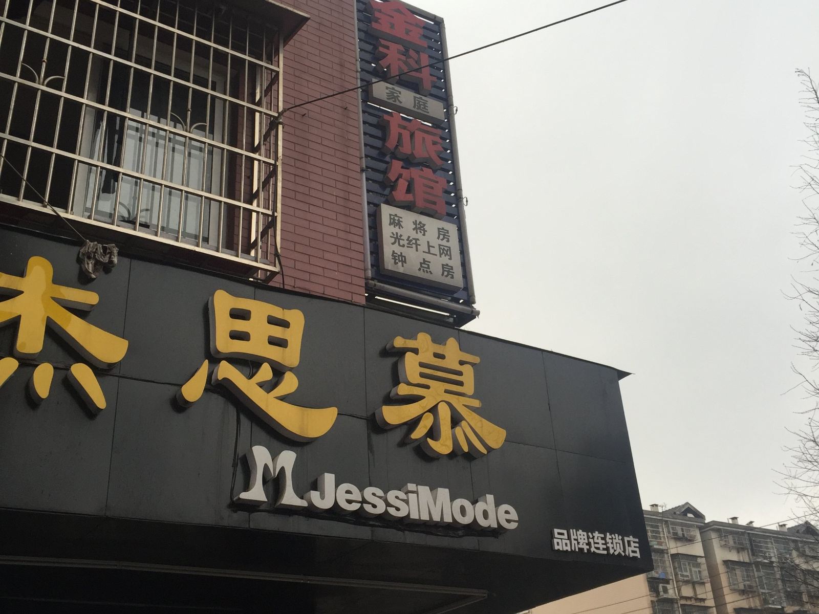外观