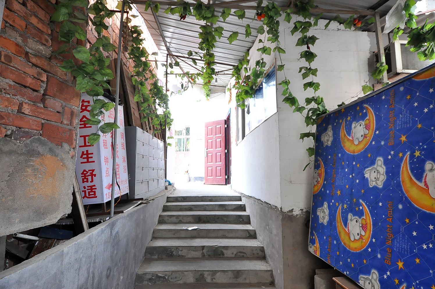 公共区域