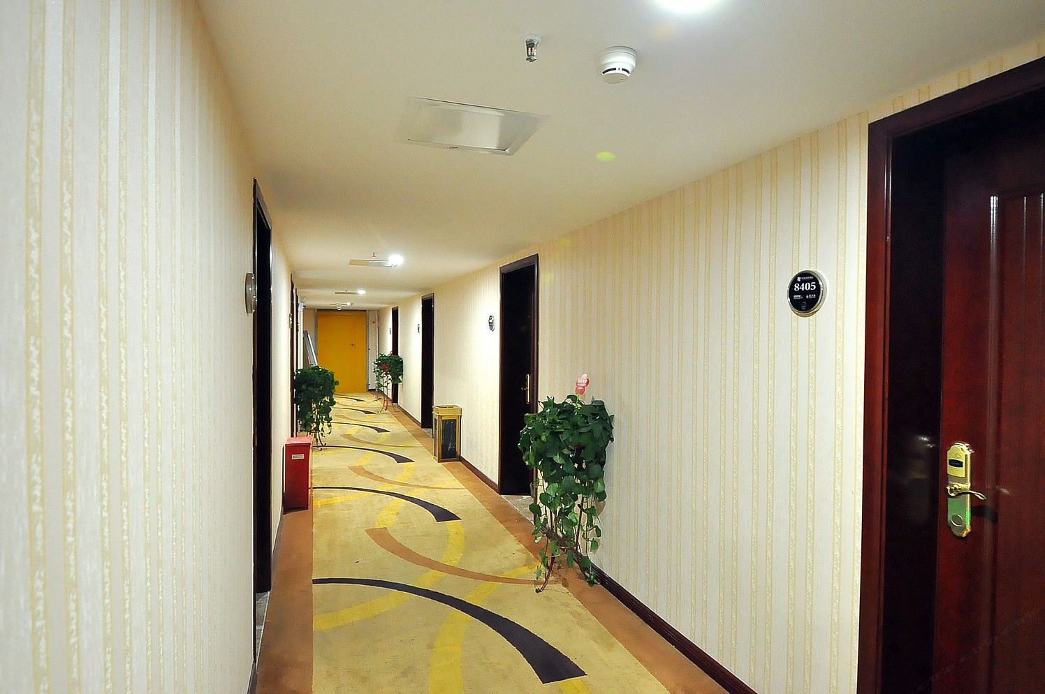 公共区域