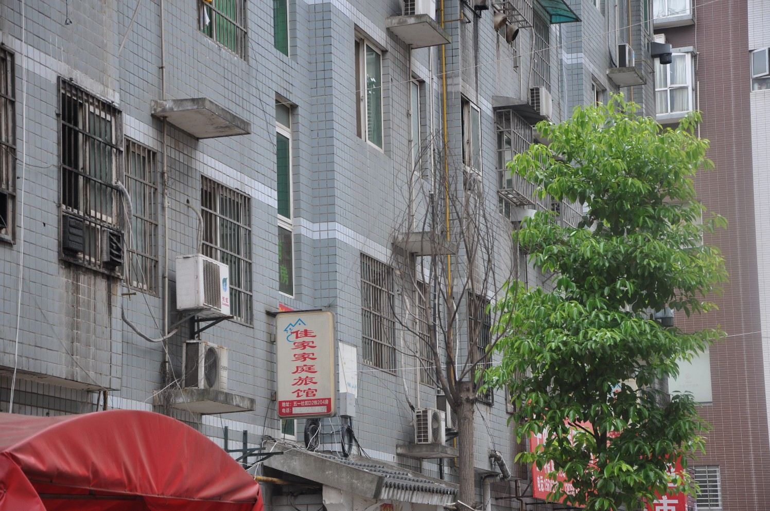 外观