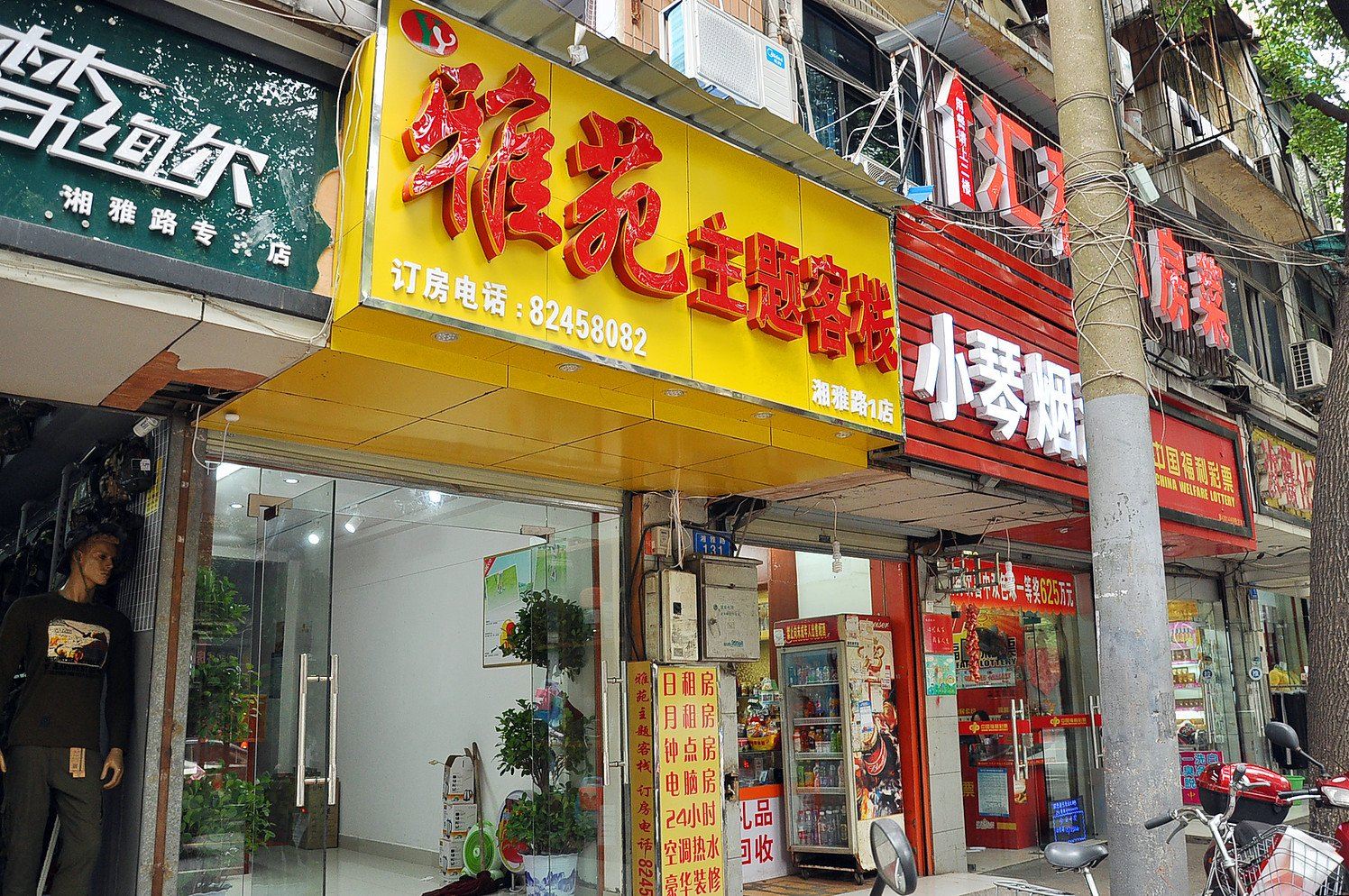 外观