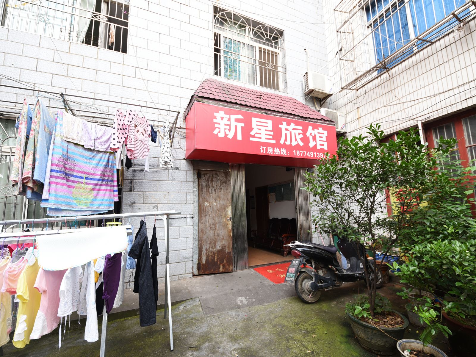 外观