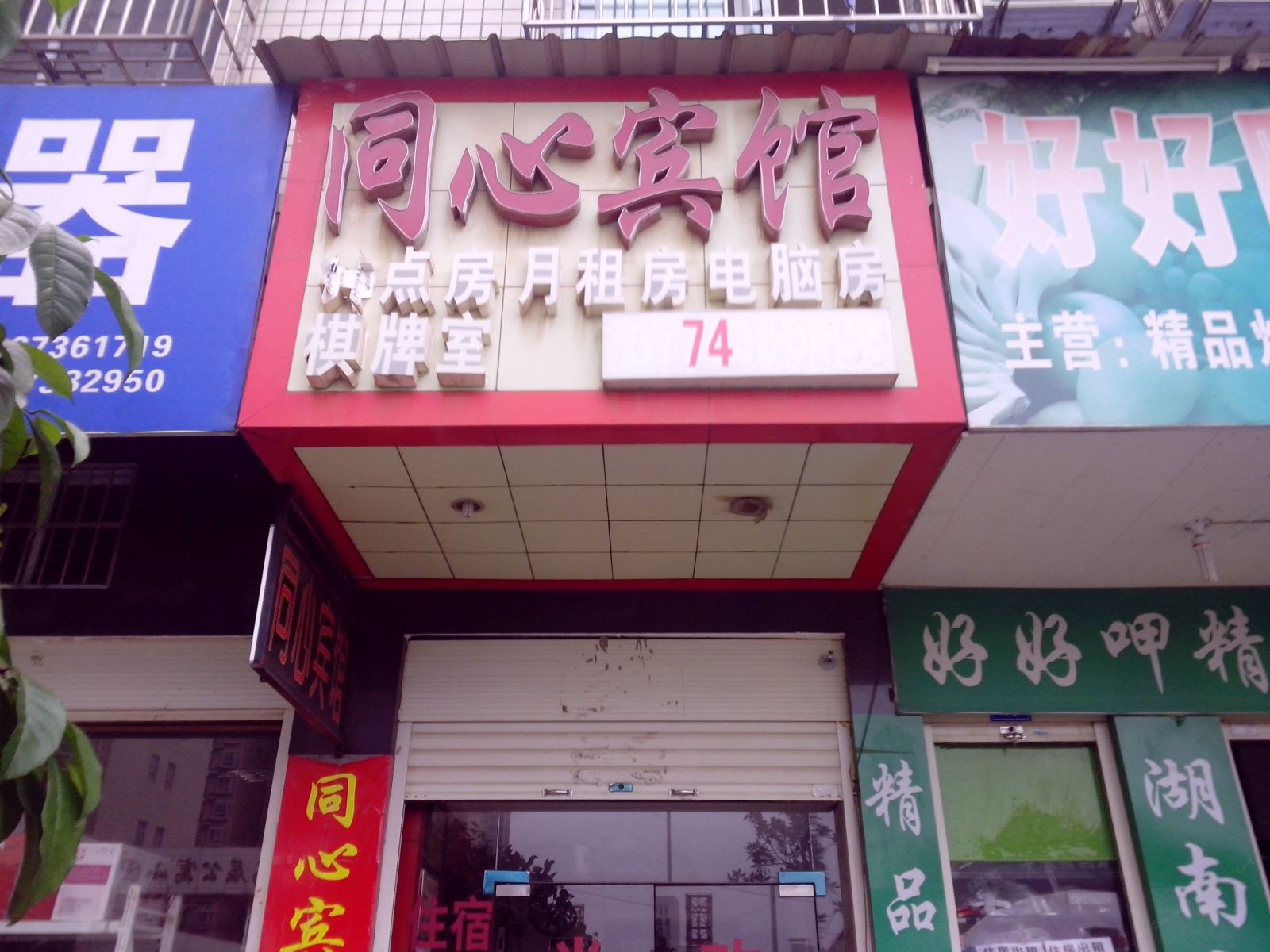 外观