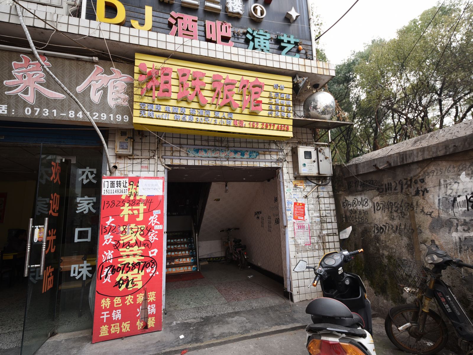 外观
