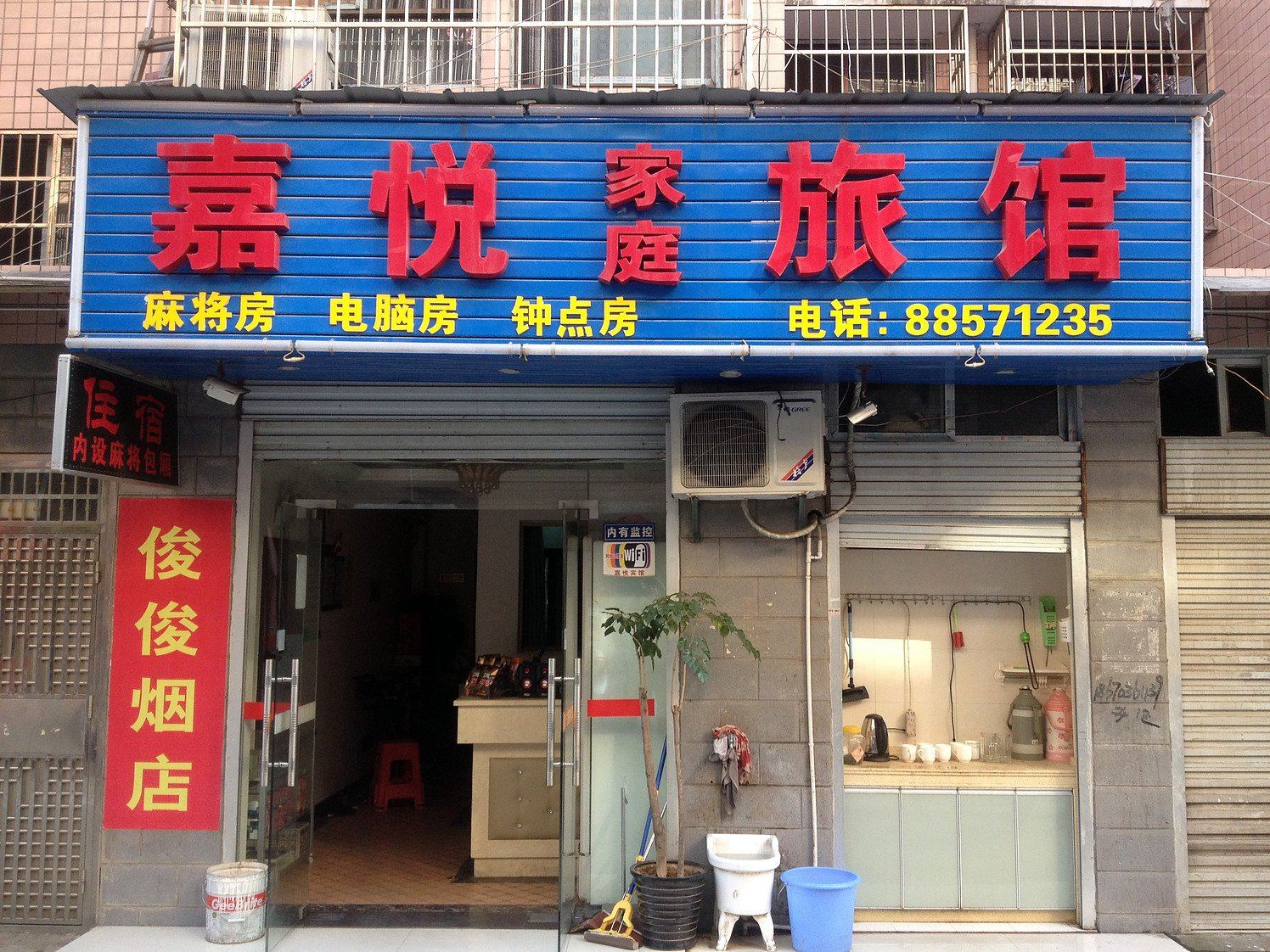 外观