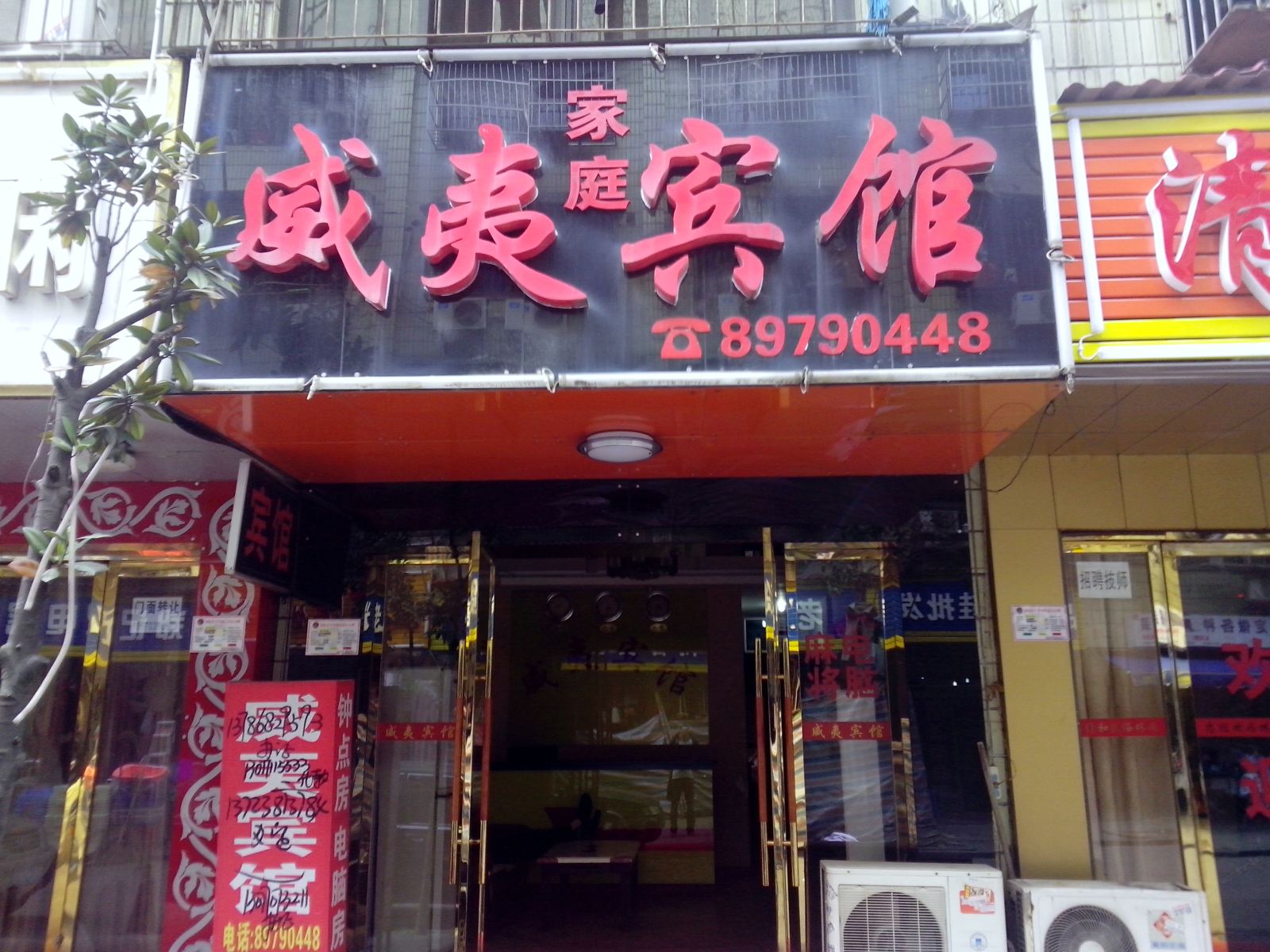 外观