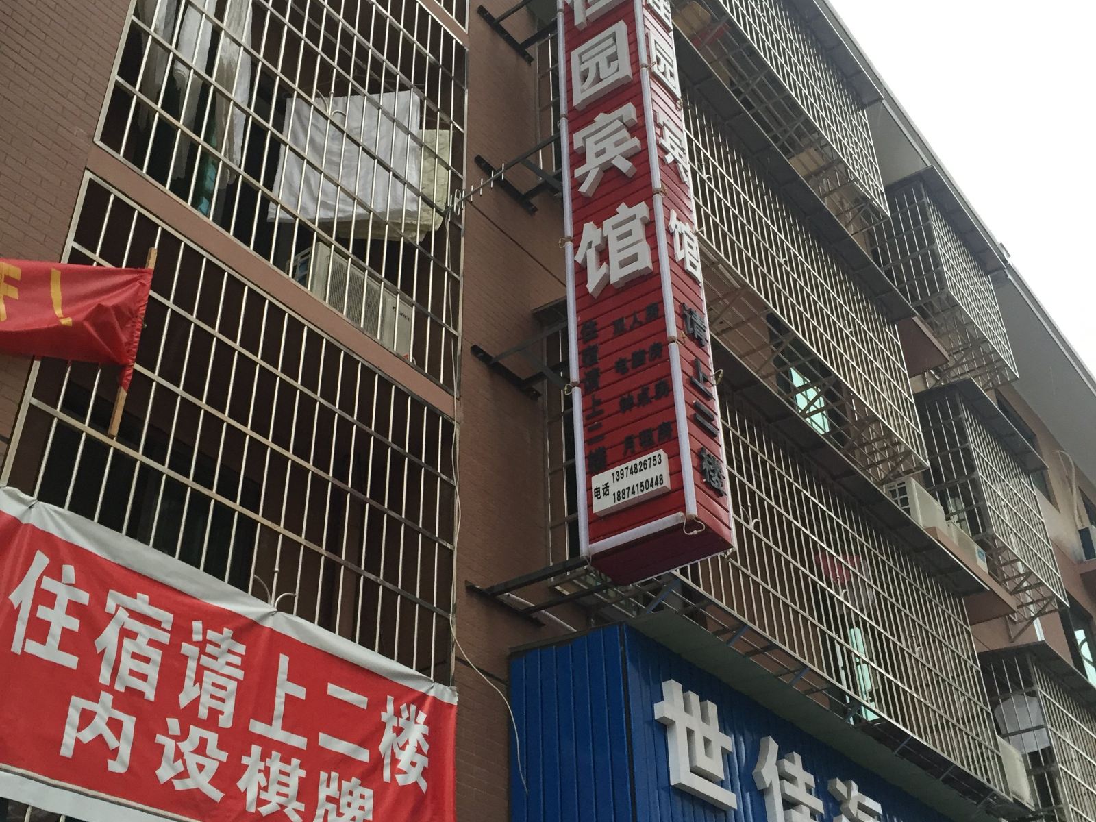 外观