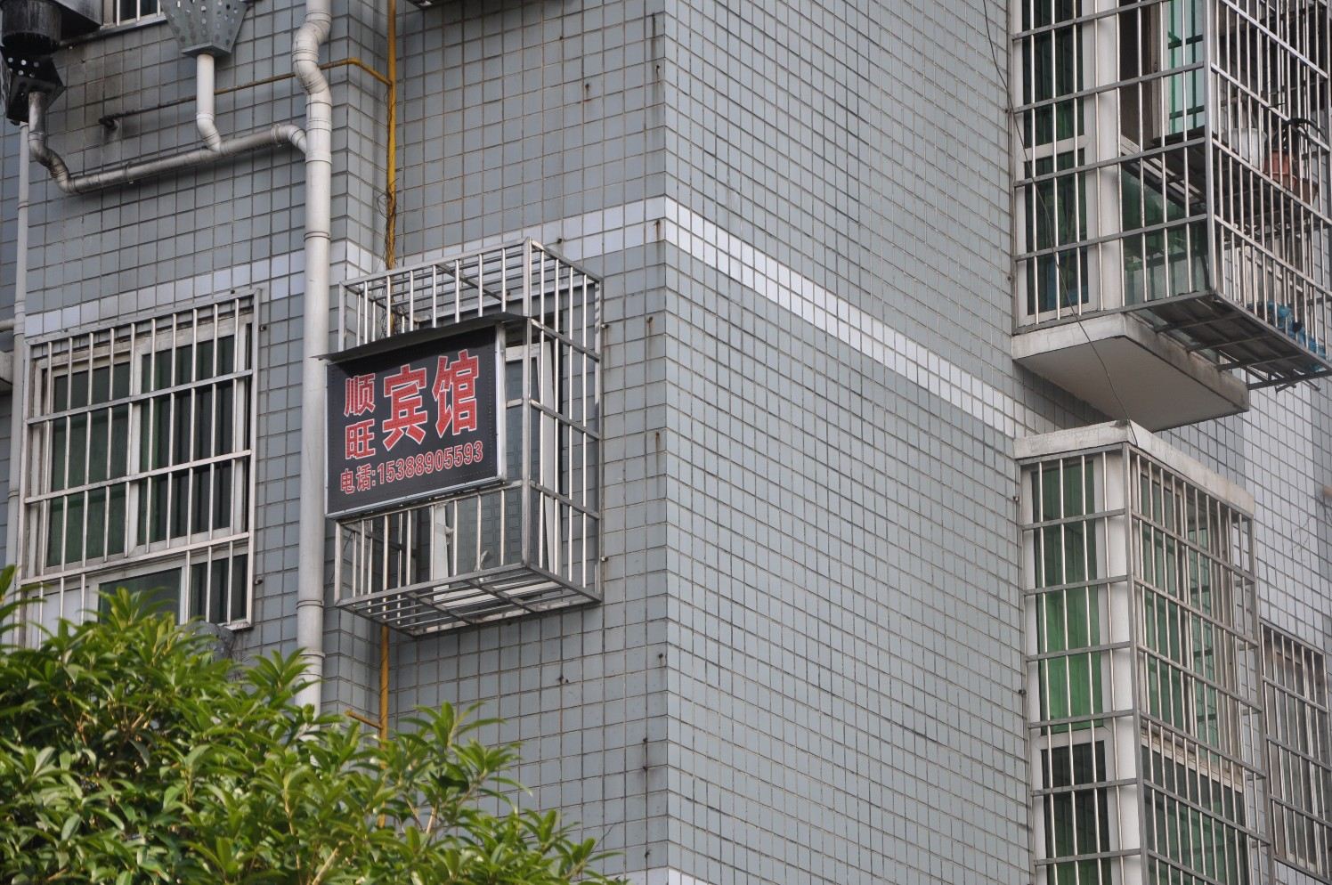 外观