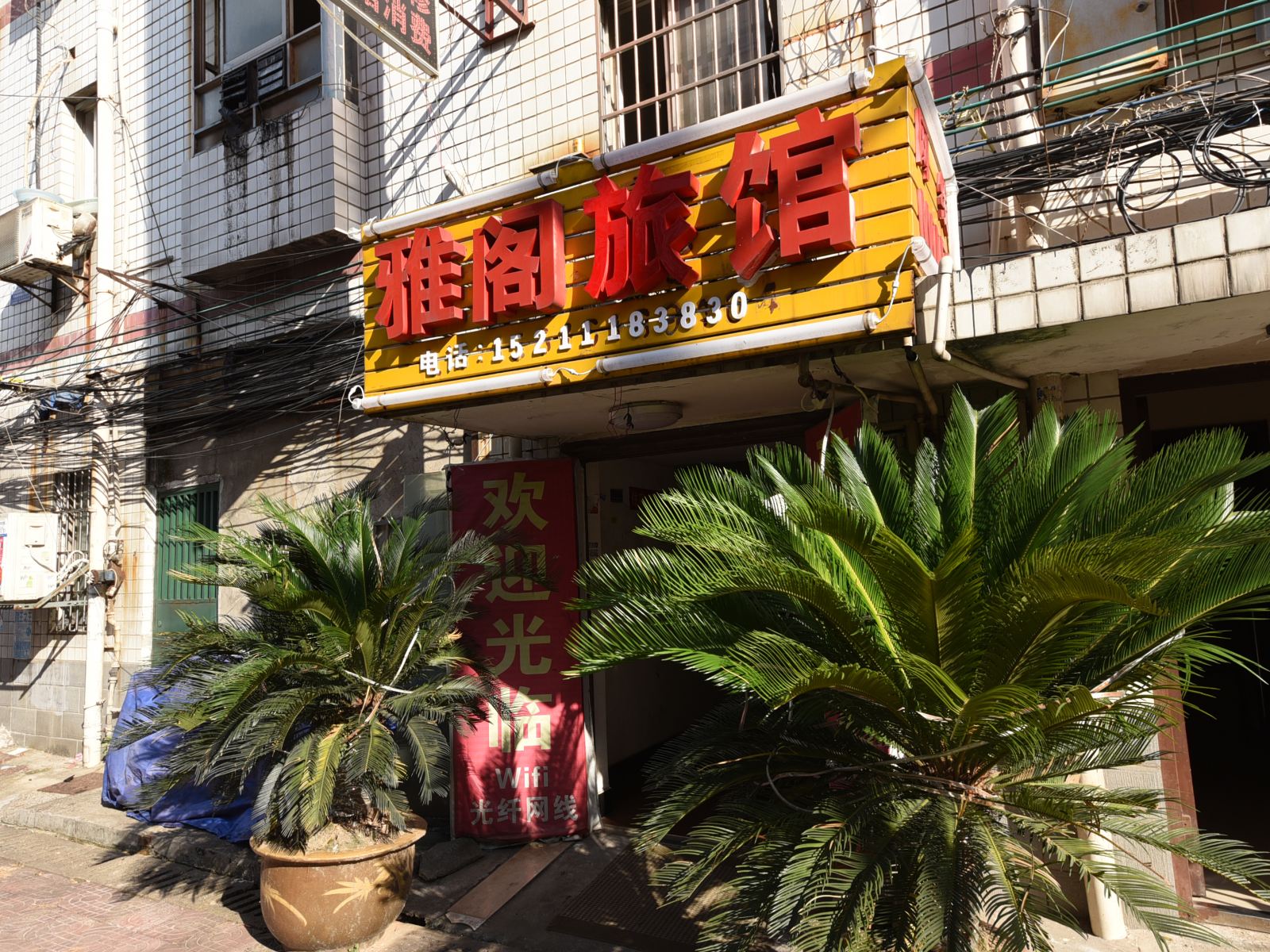 外观