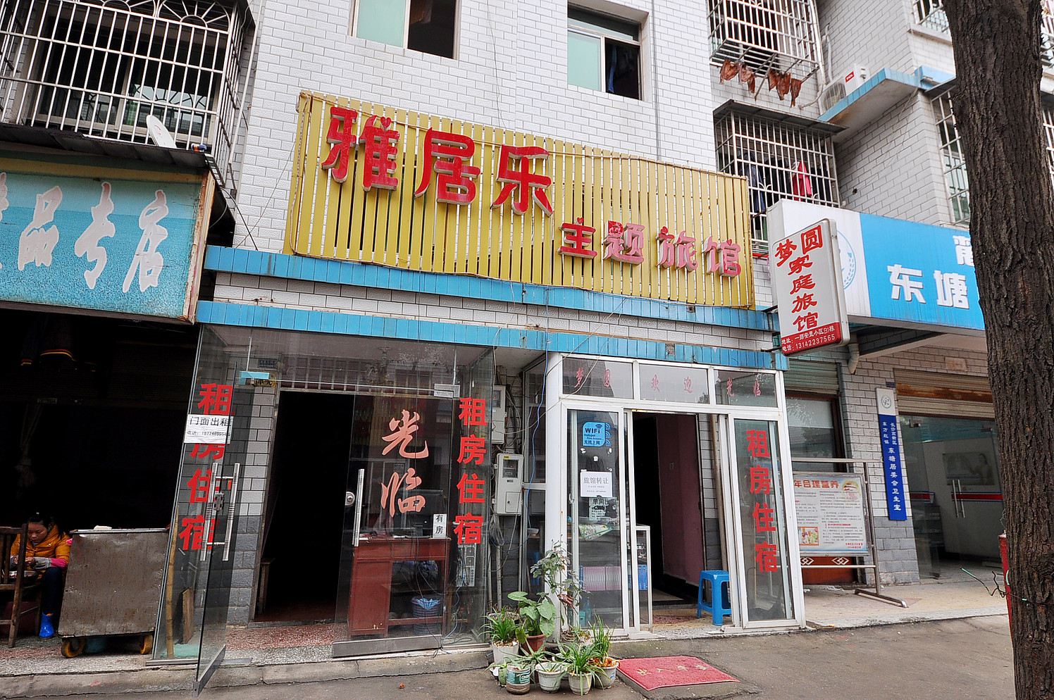 外观