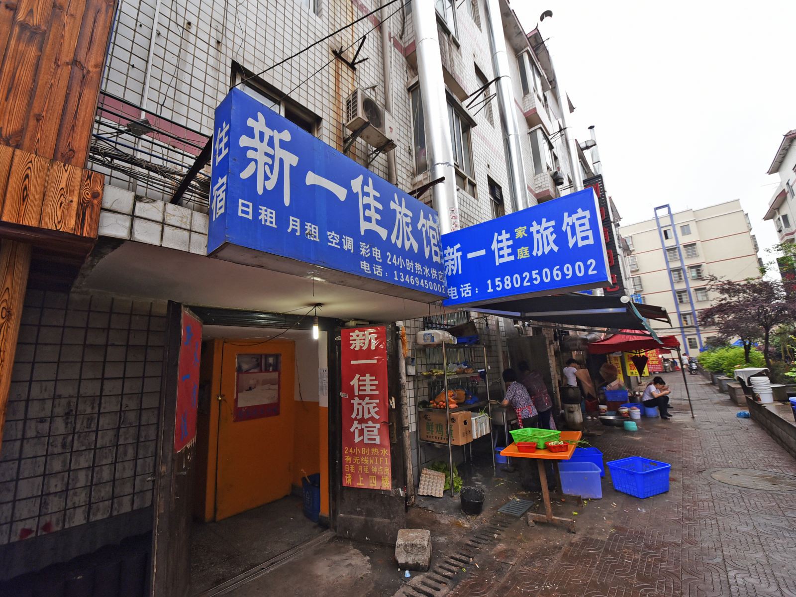 外观