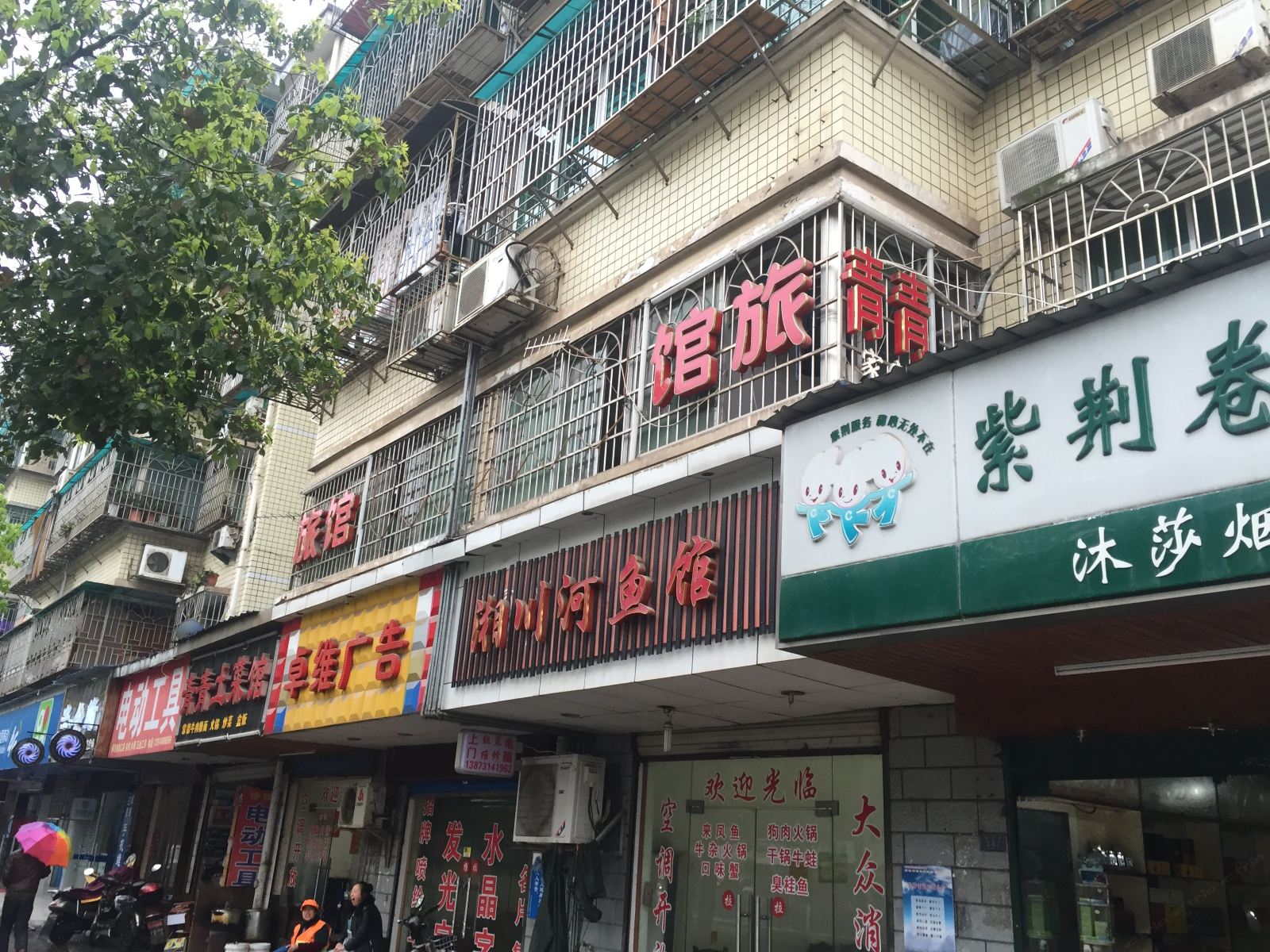 外观