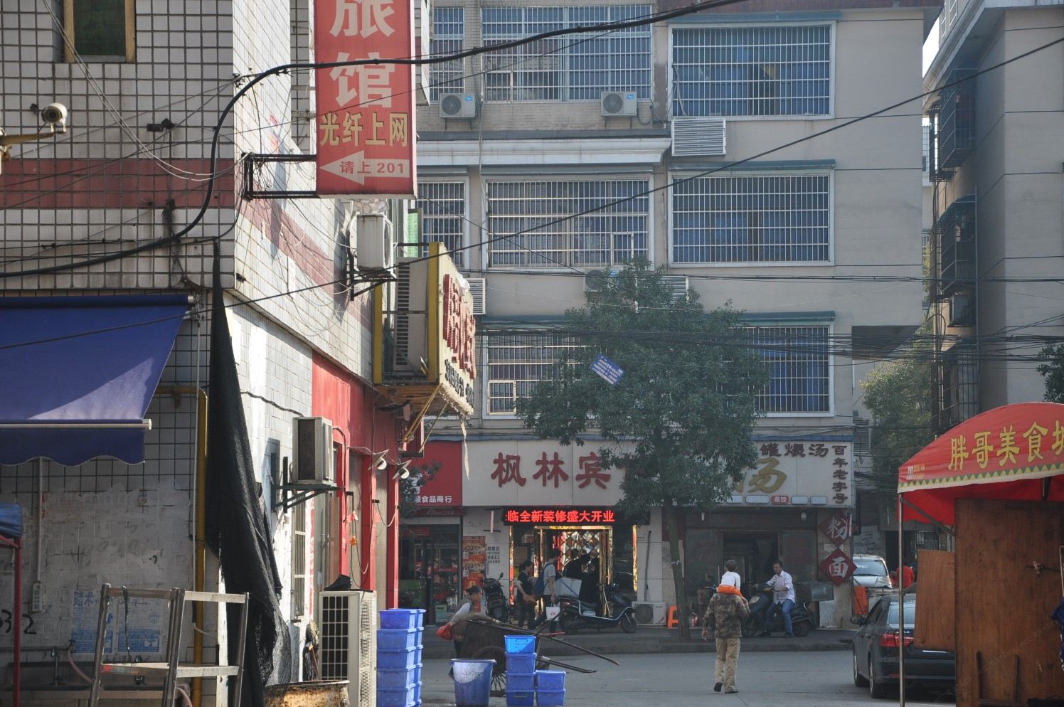 外观