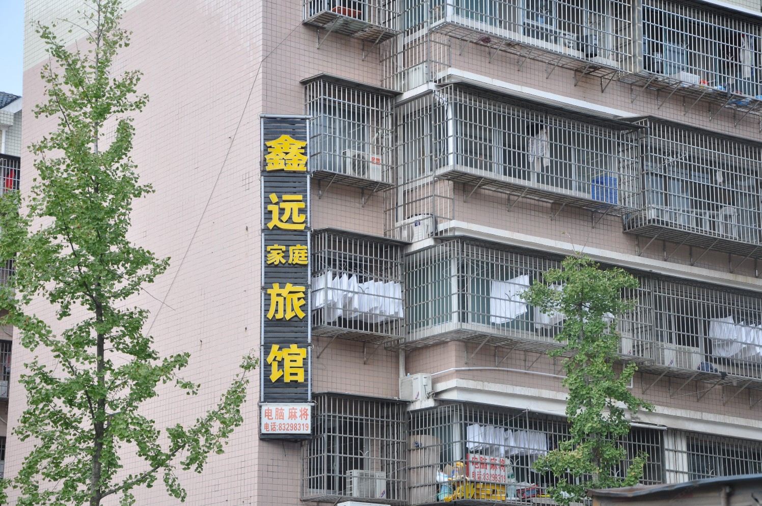 外观