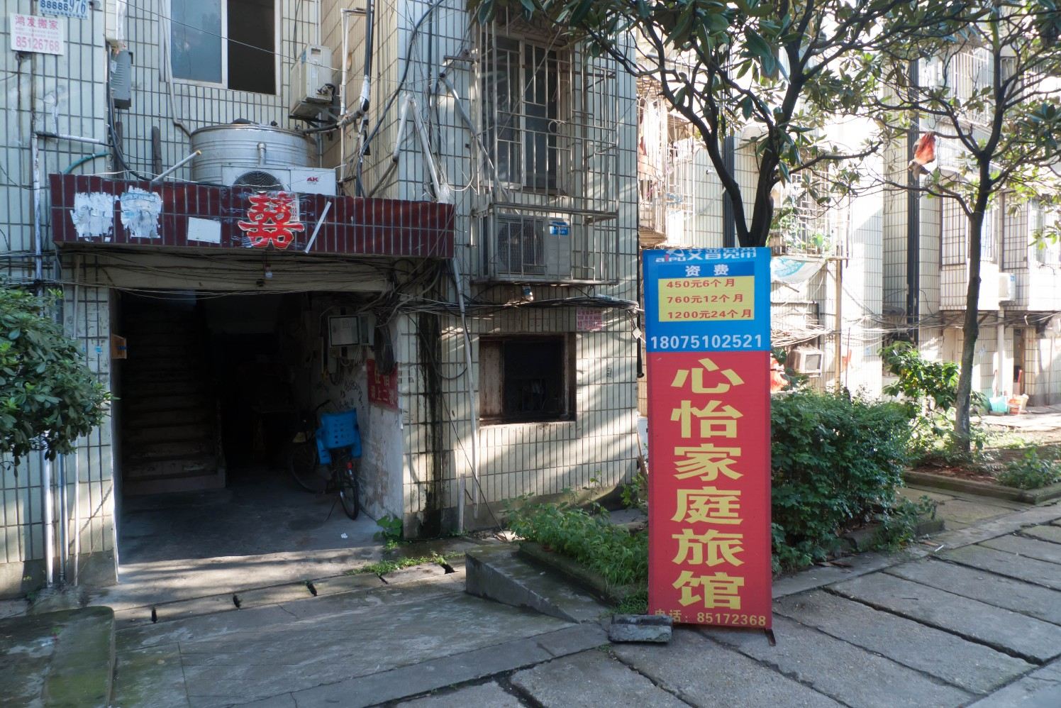 外观