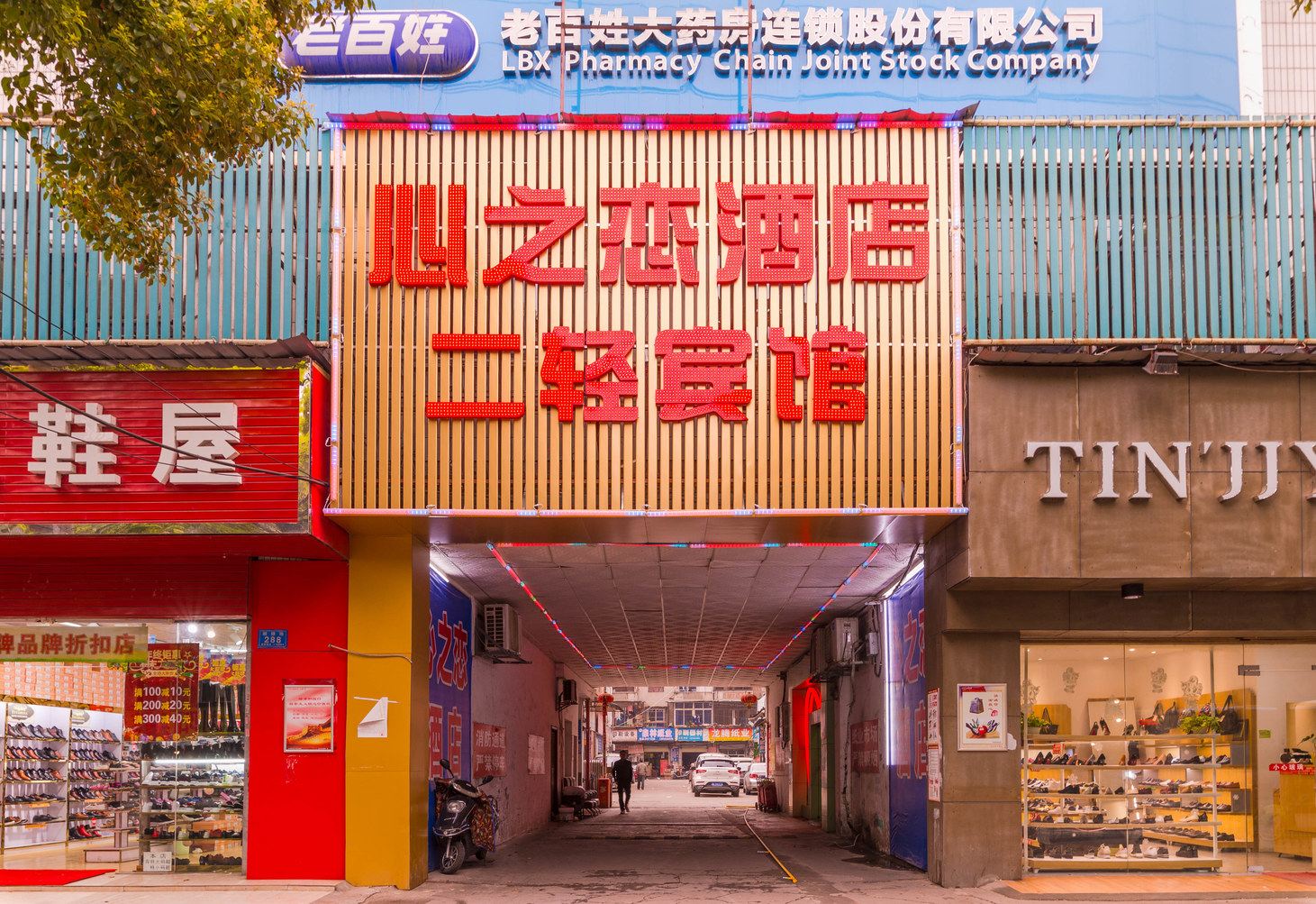 外观