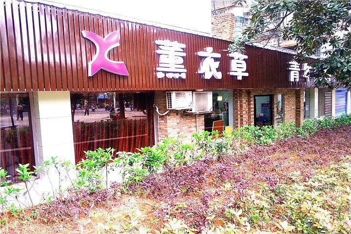 长沙薰衣草青年旅舍