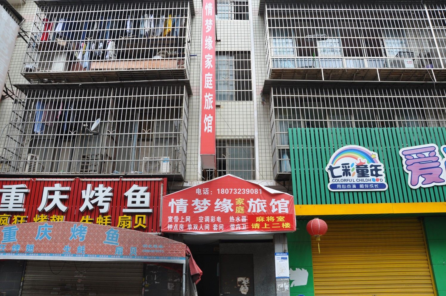 外观