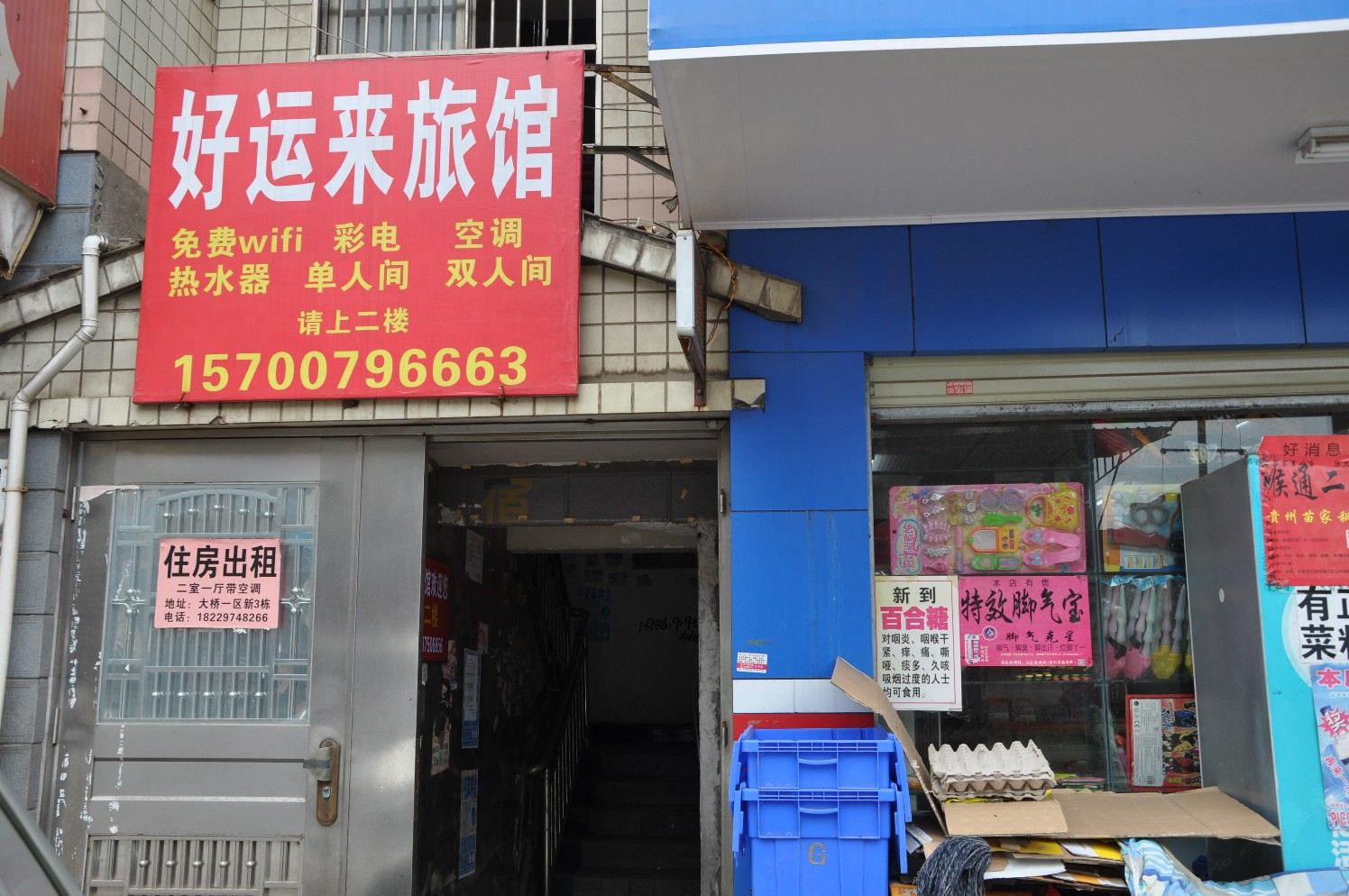 外观