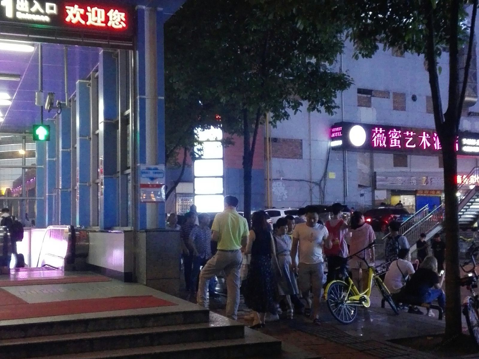 外观