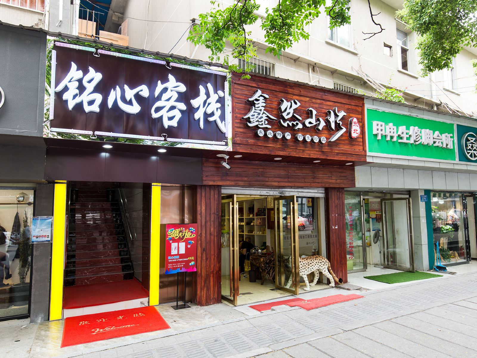 外观