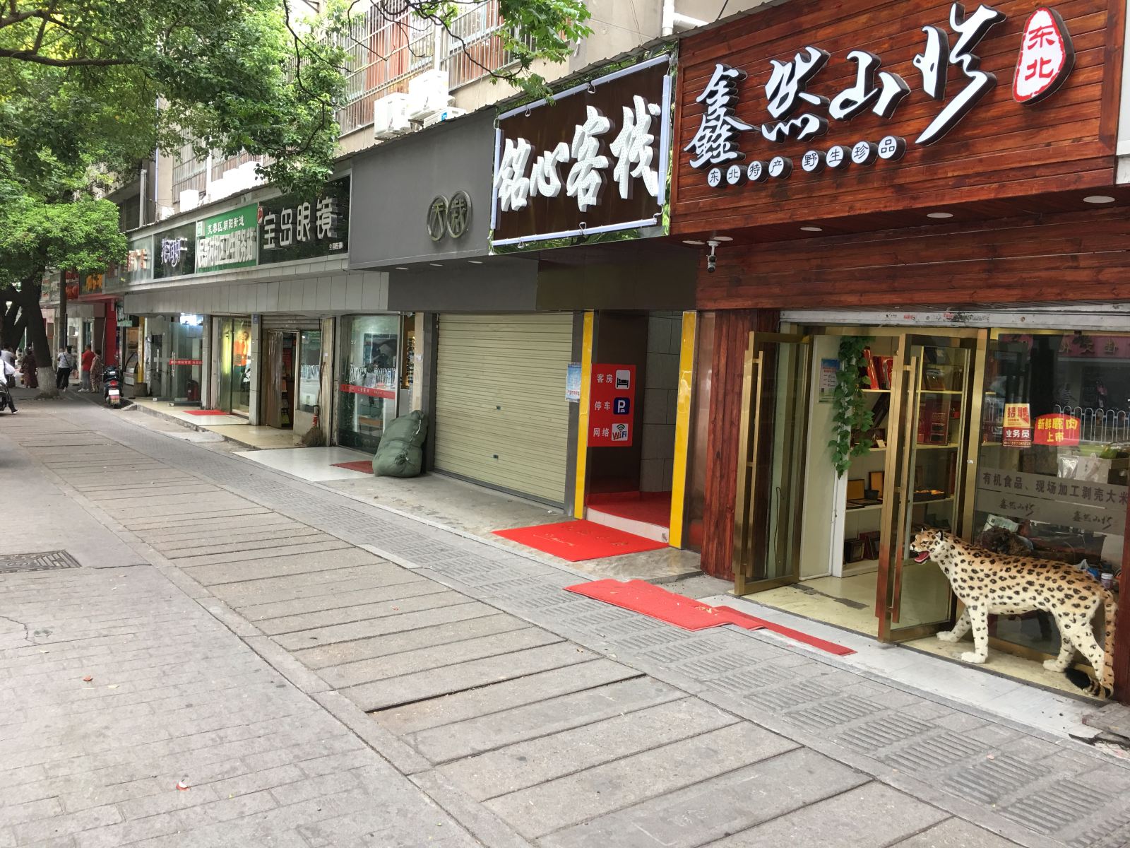 外观