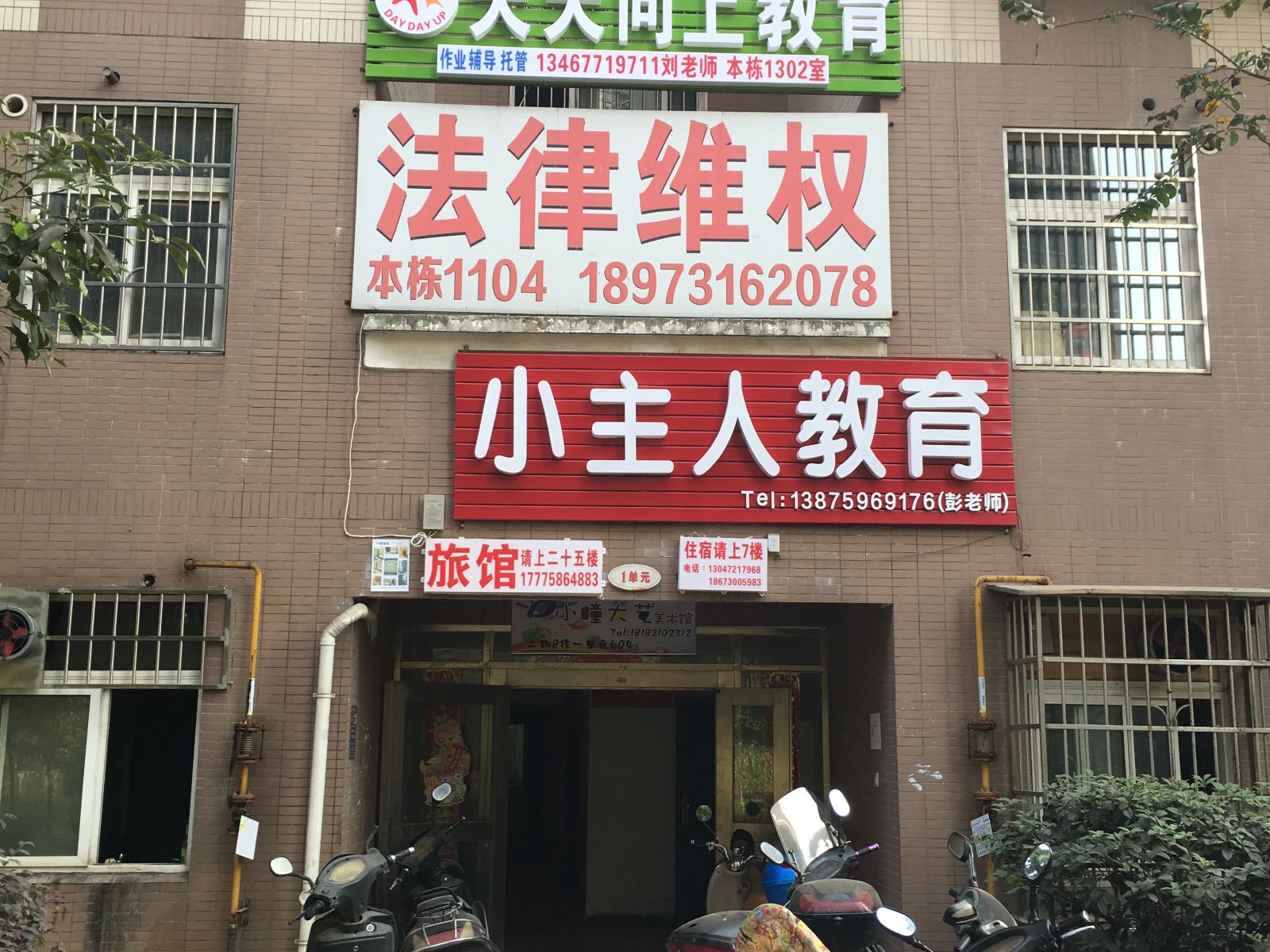 外观