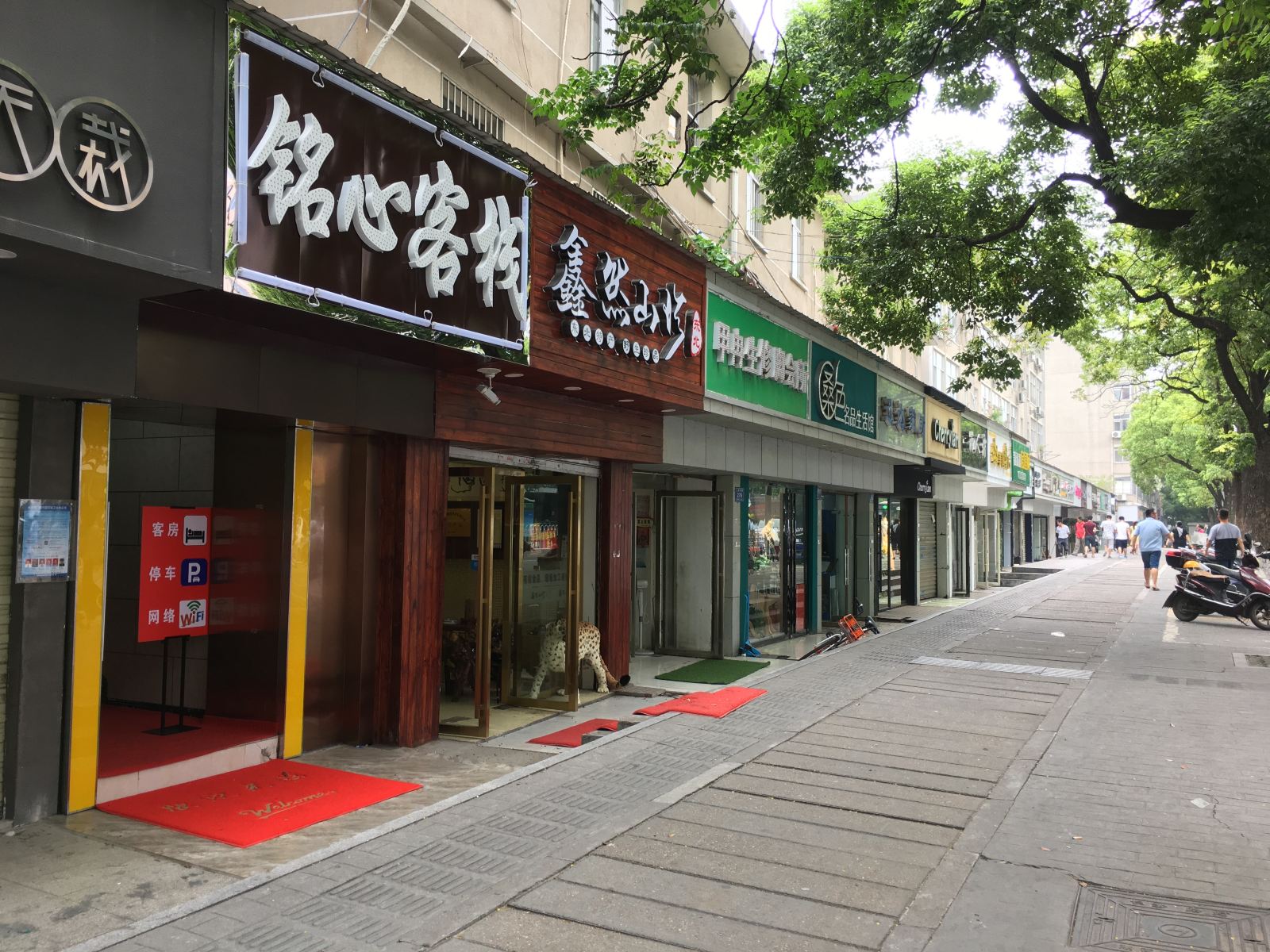 外观