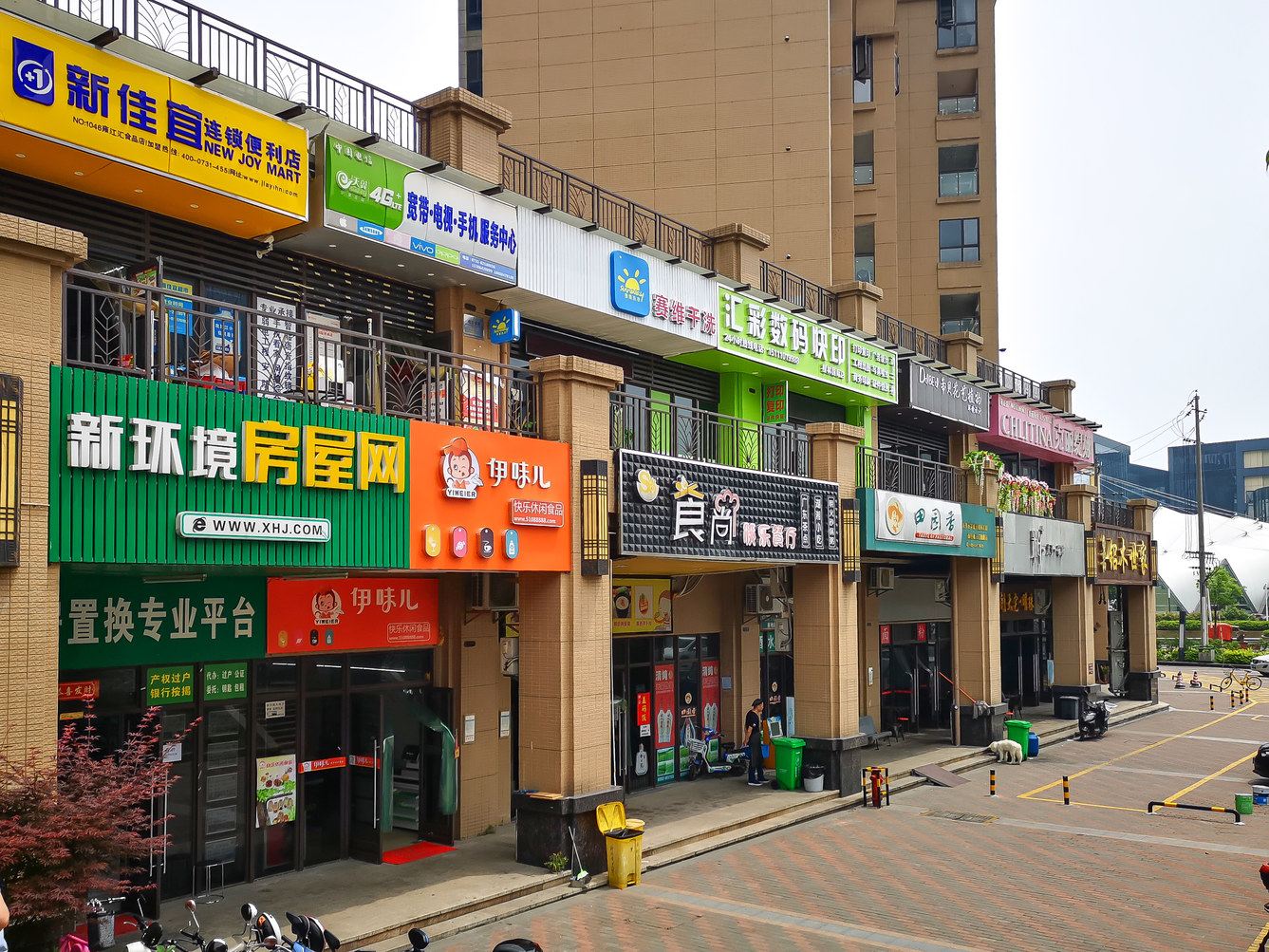外观