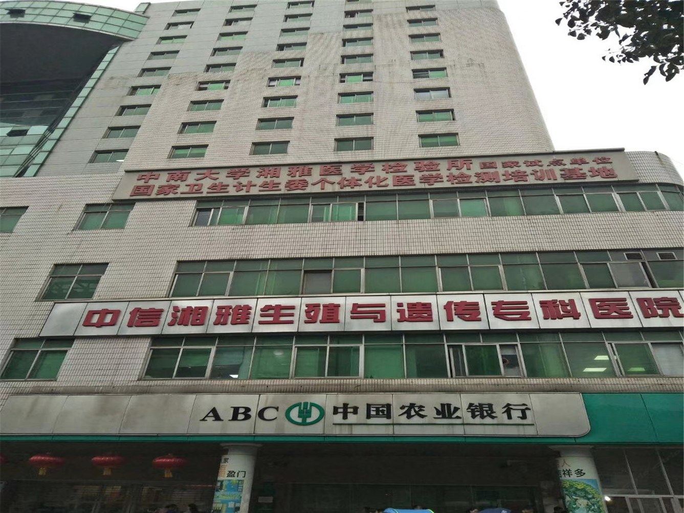 其他