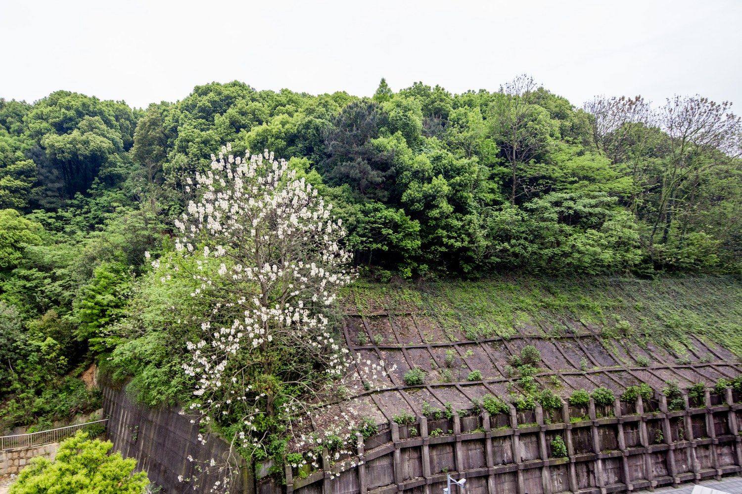 长沙拾光暖阳公寓(5号店)
