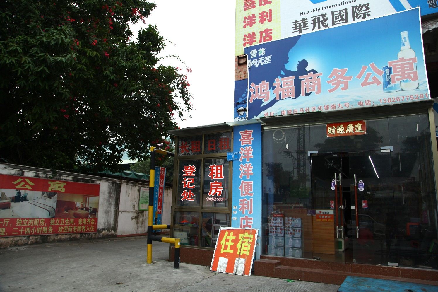外观