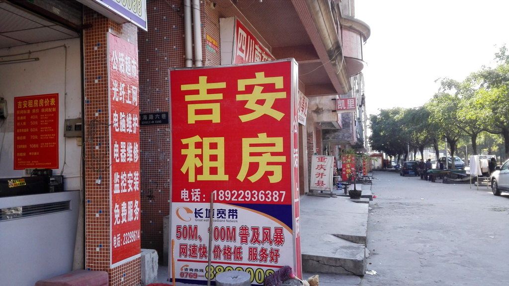 外观