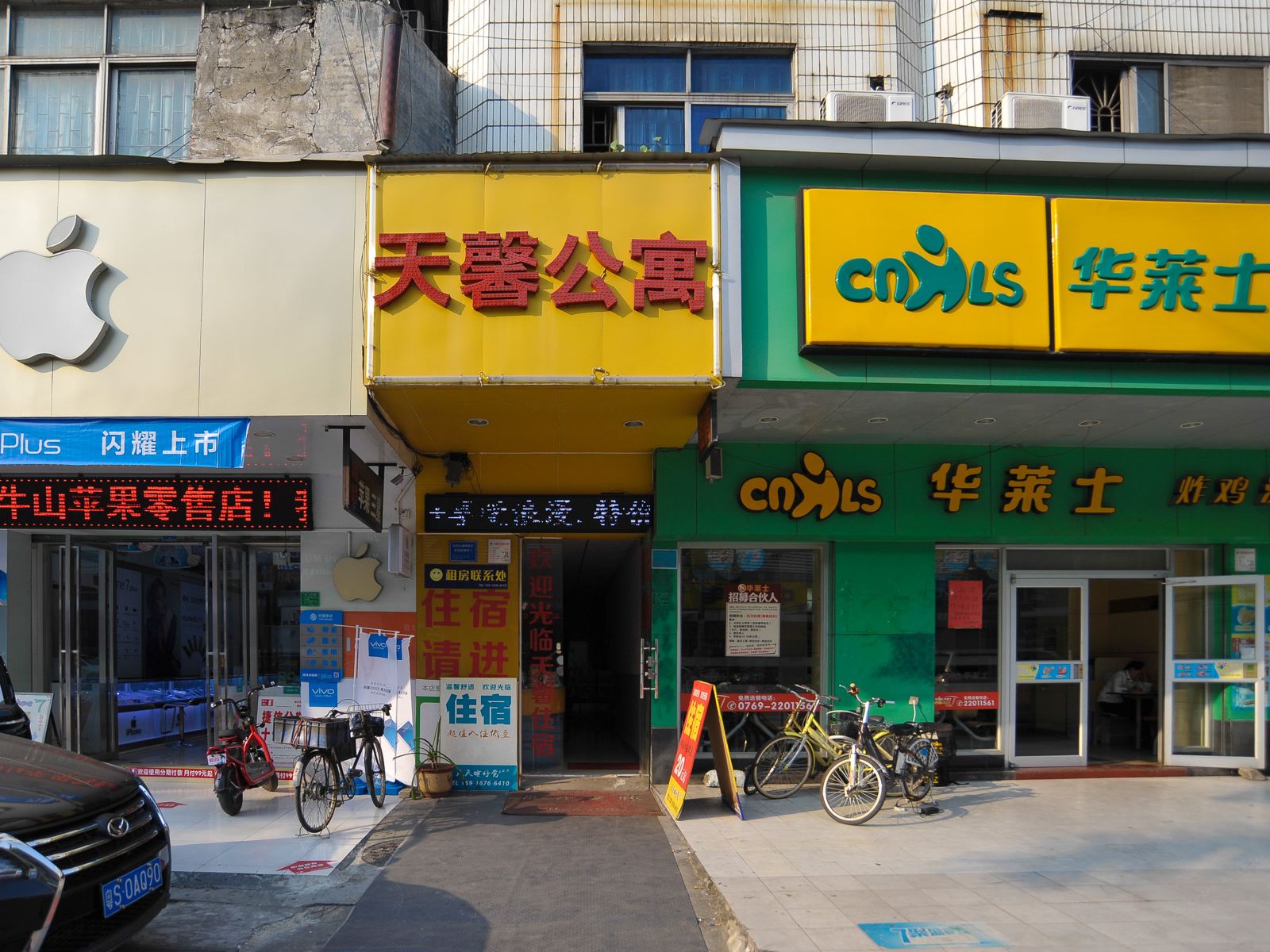 外观