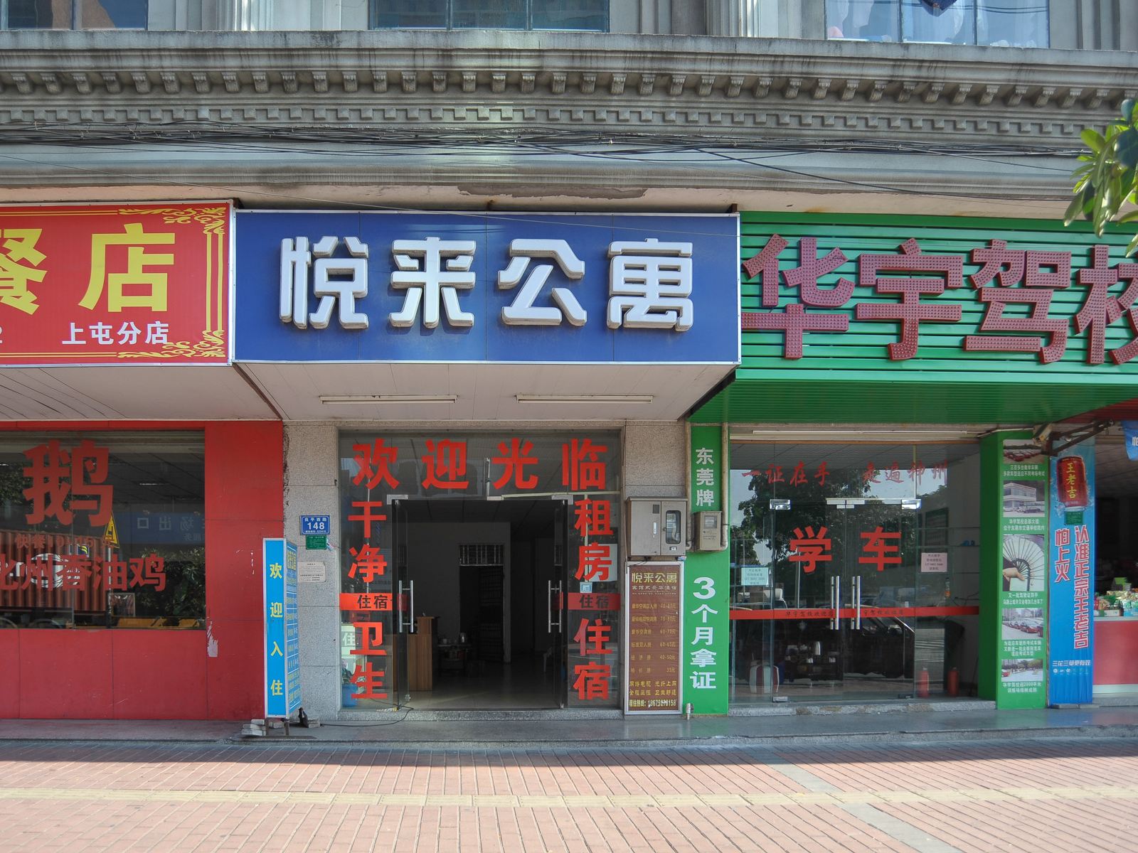 外观