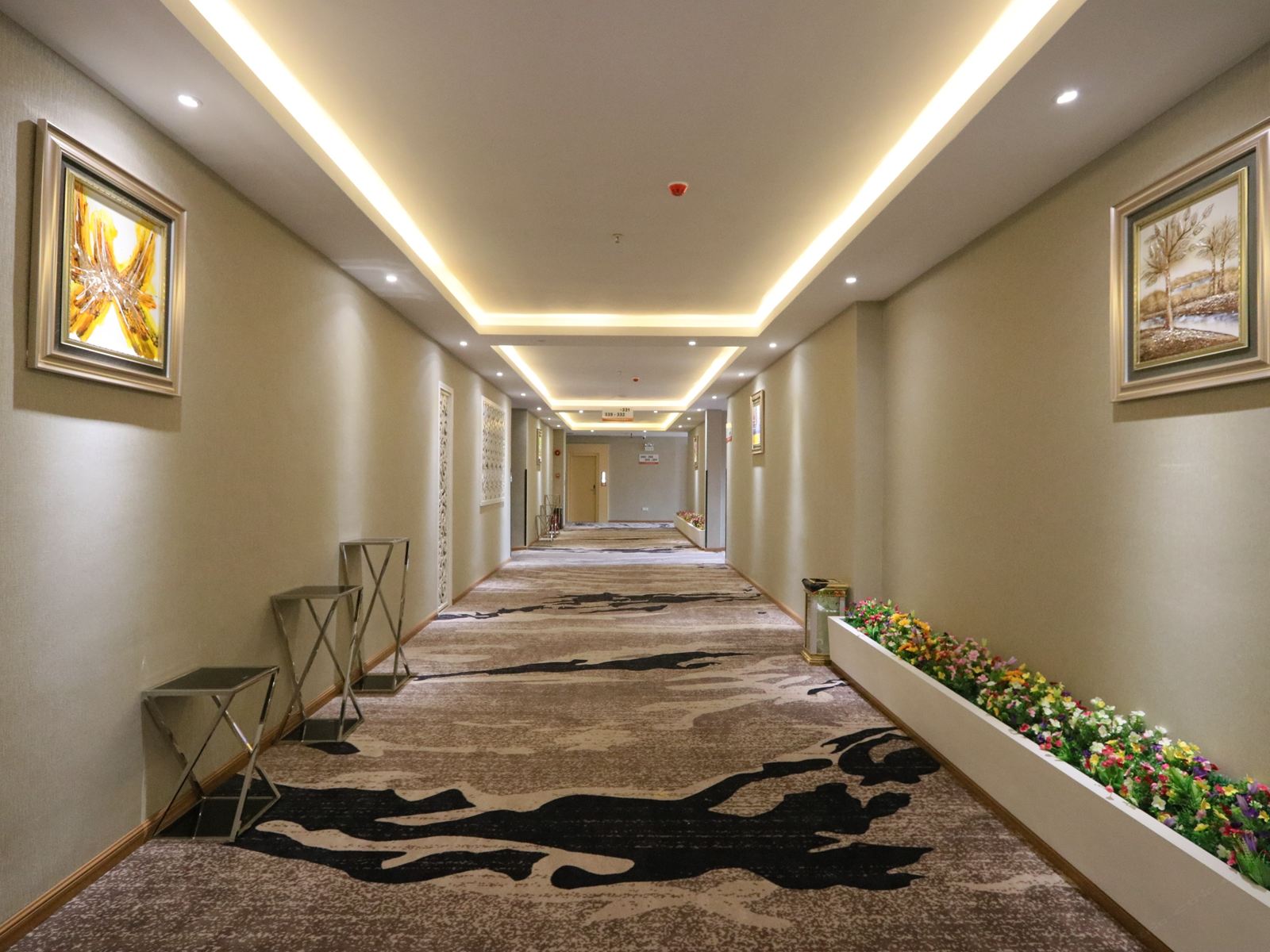 公共区域
