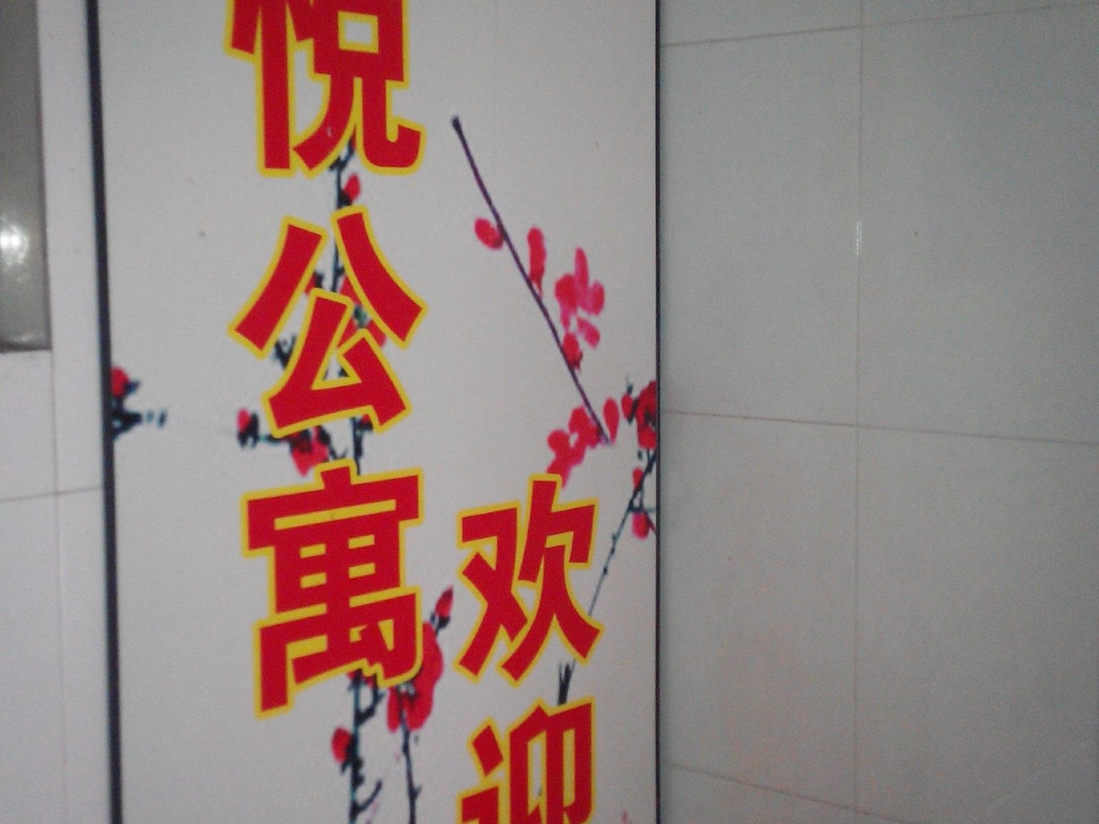 公共区域