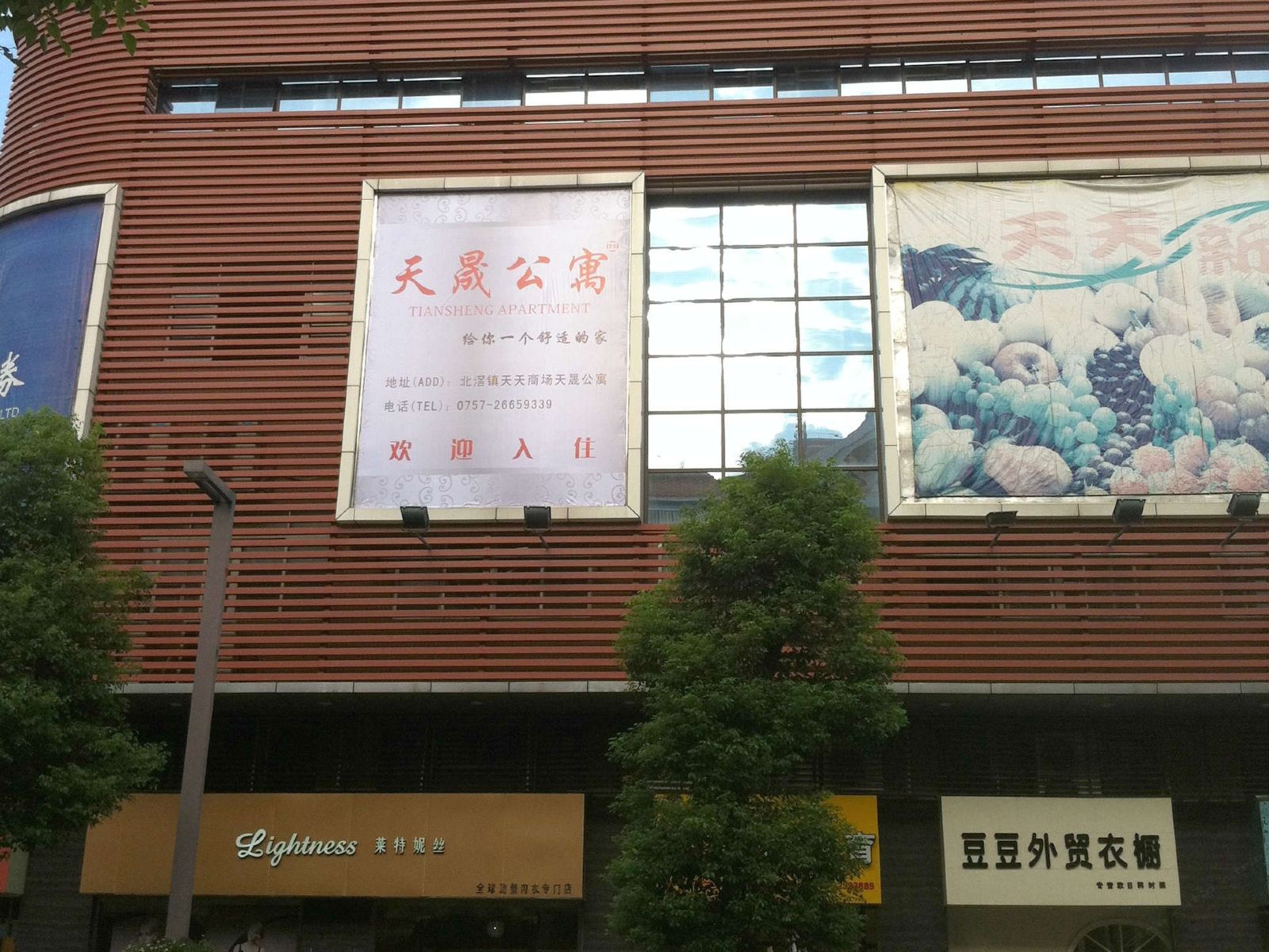 外观