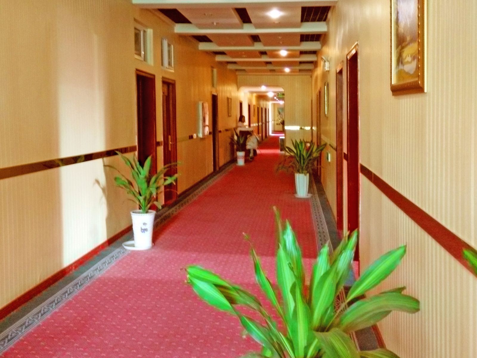 公共区域