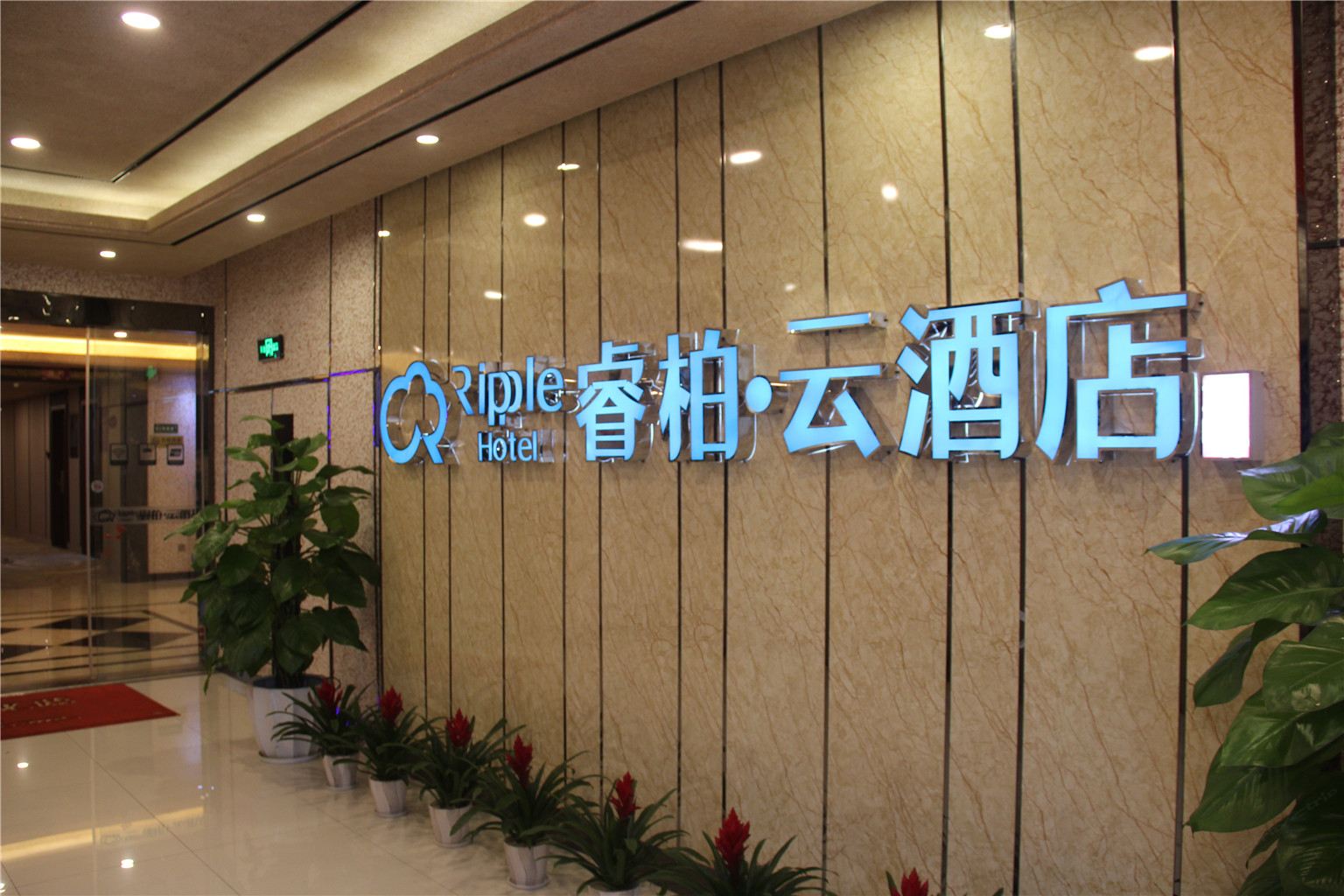 公共区域