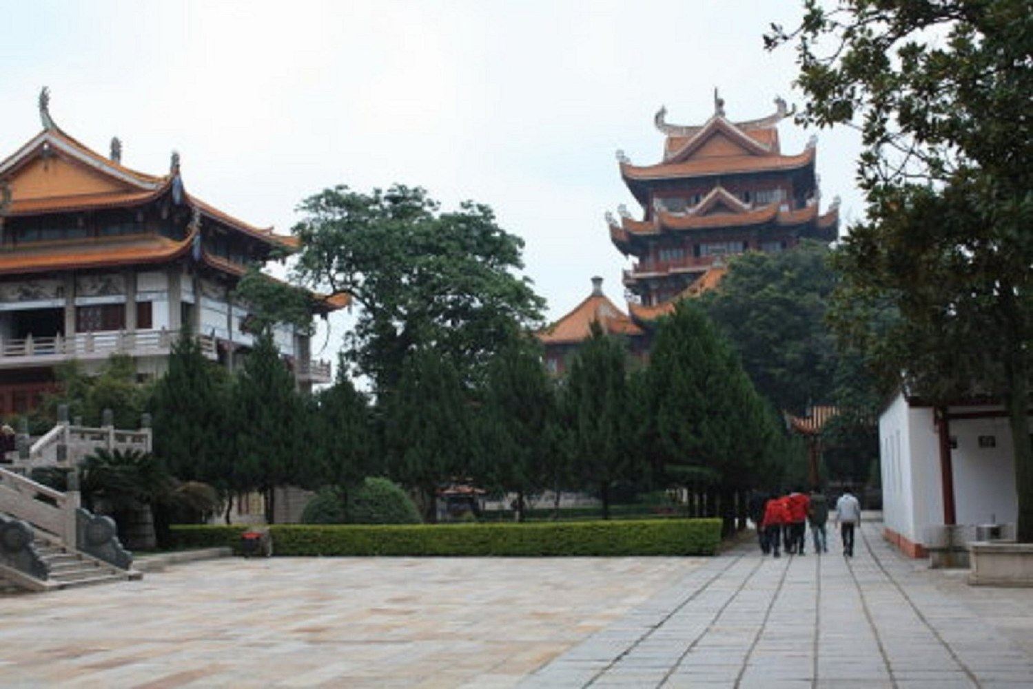 其他