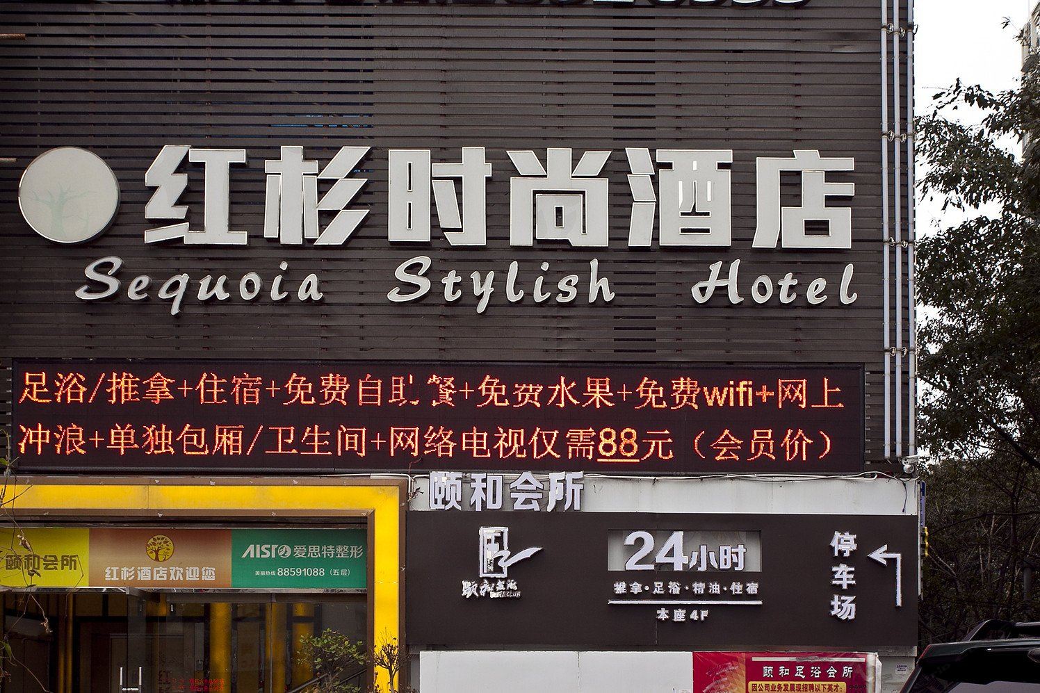 外观