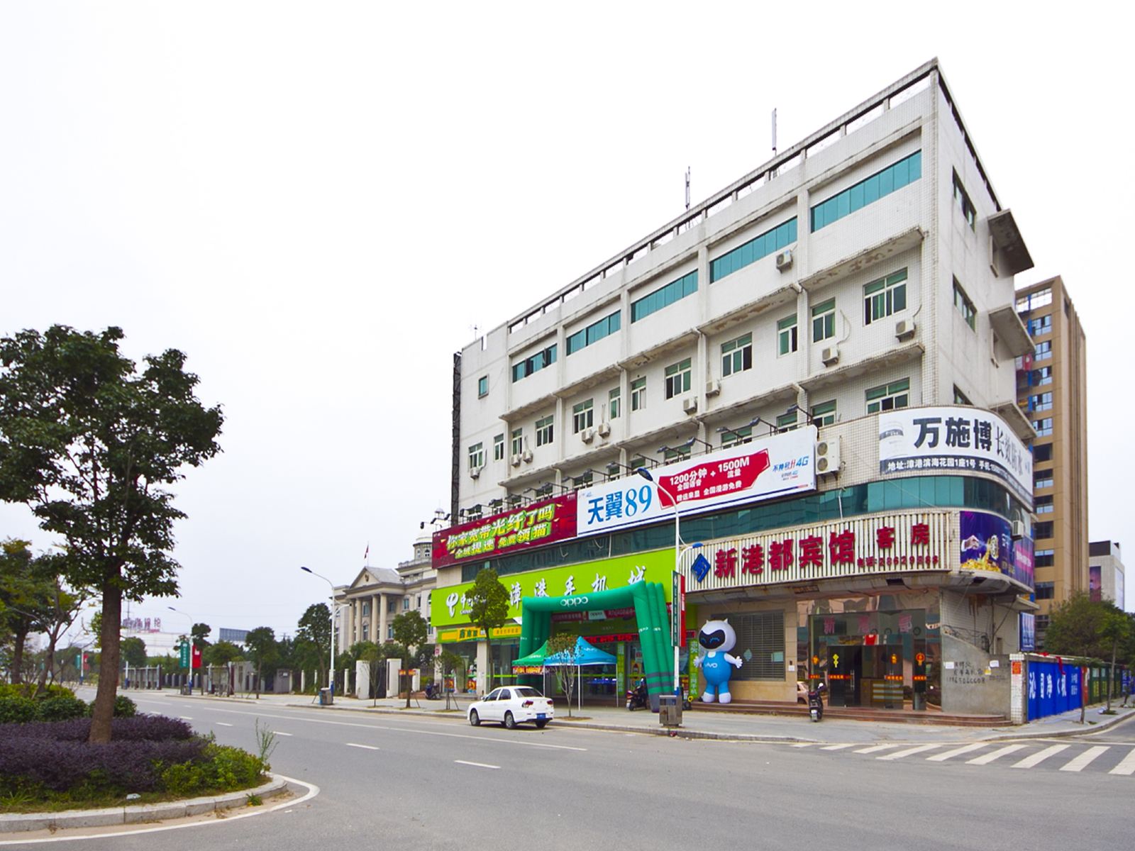 外观