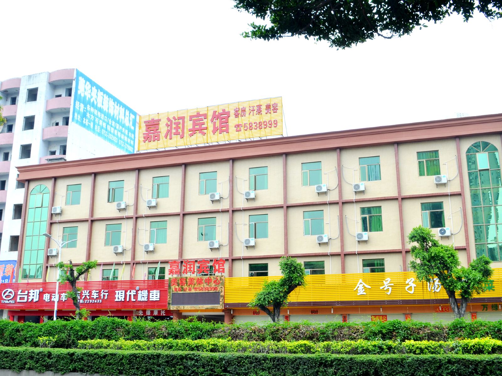 外观