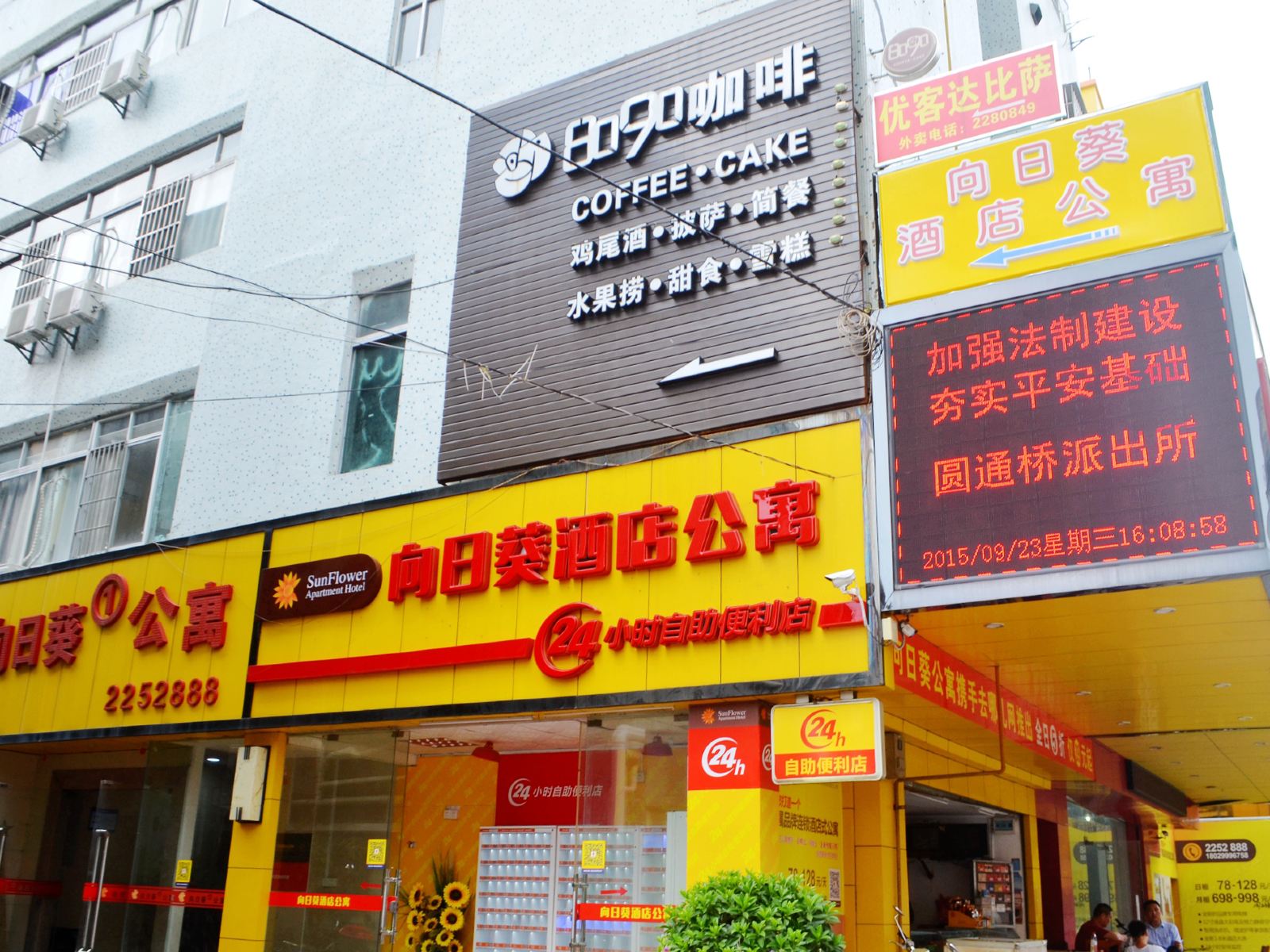 外观