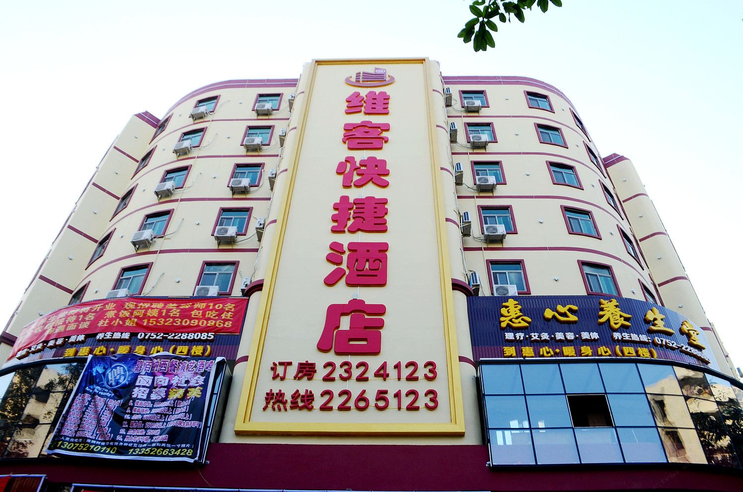 外观