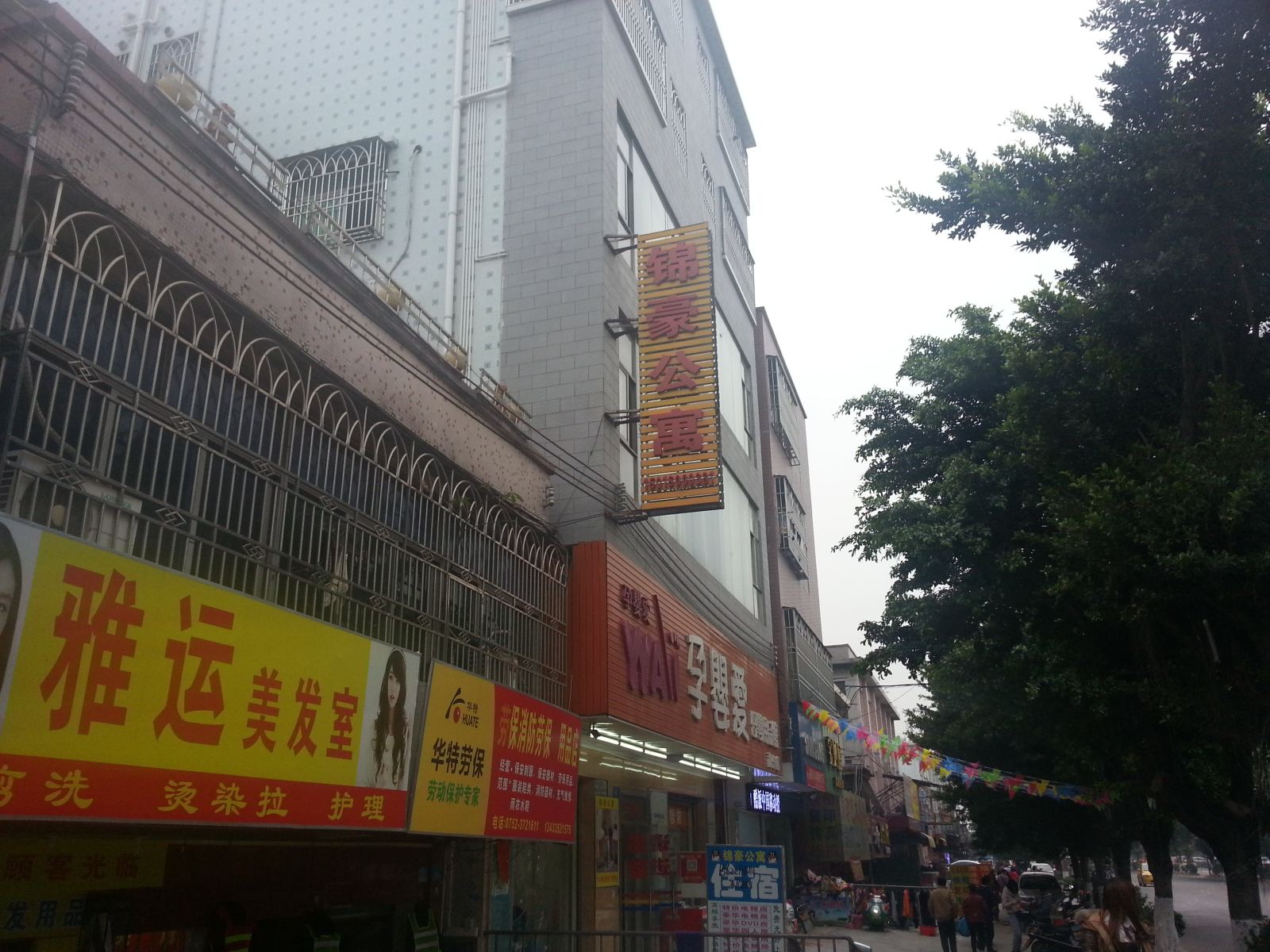 外观