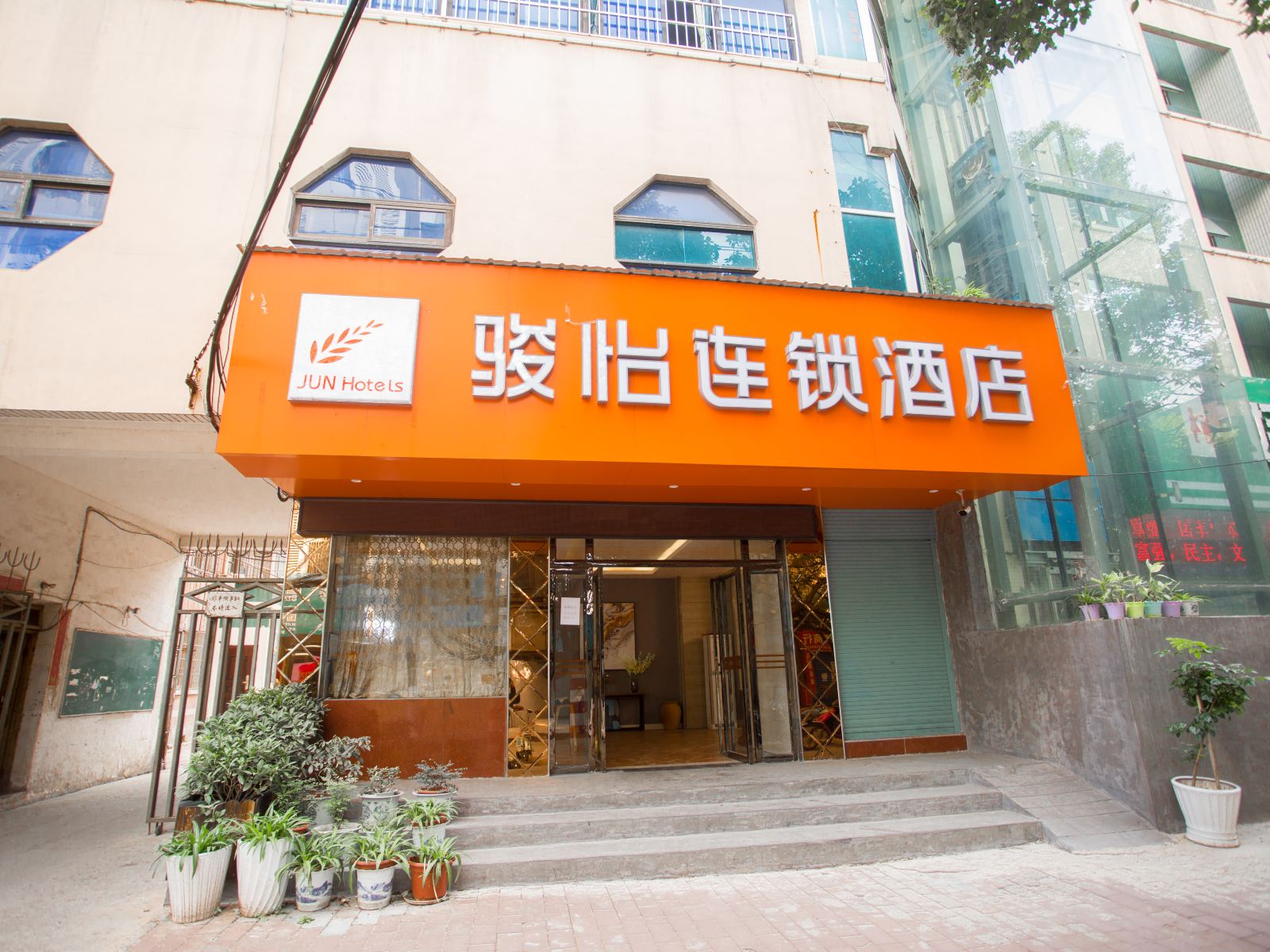 外观